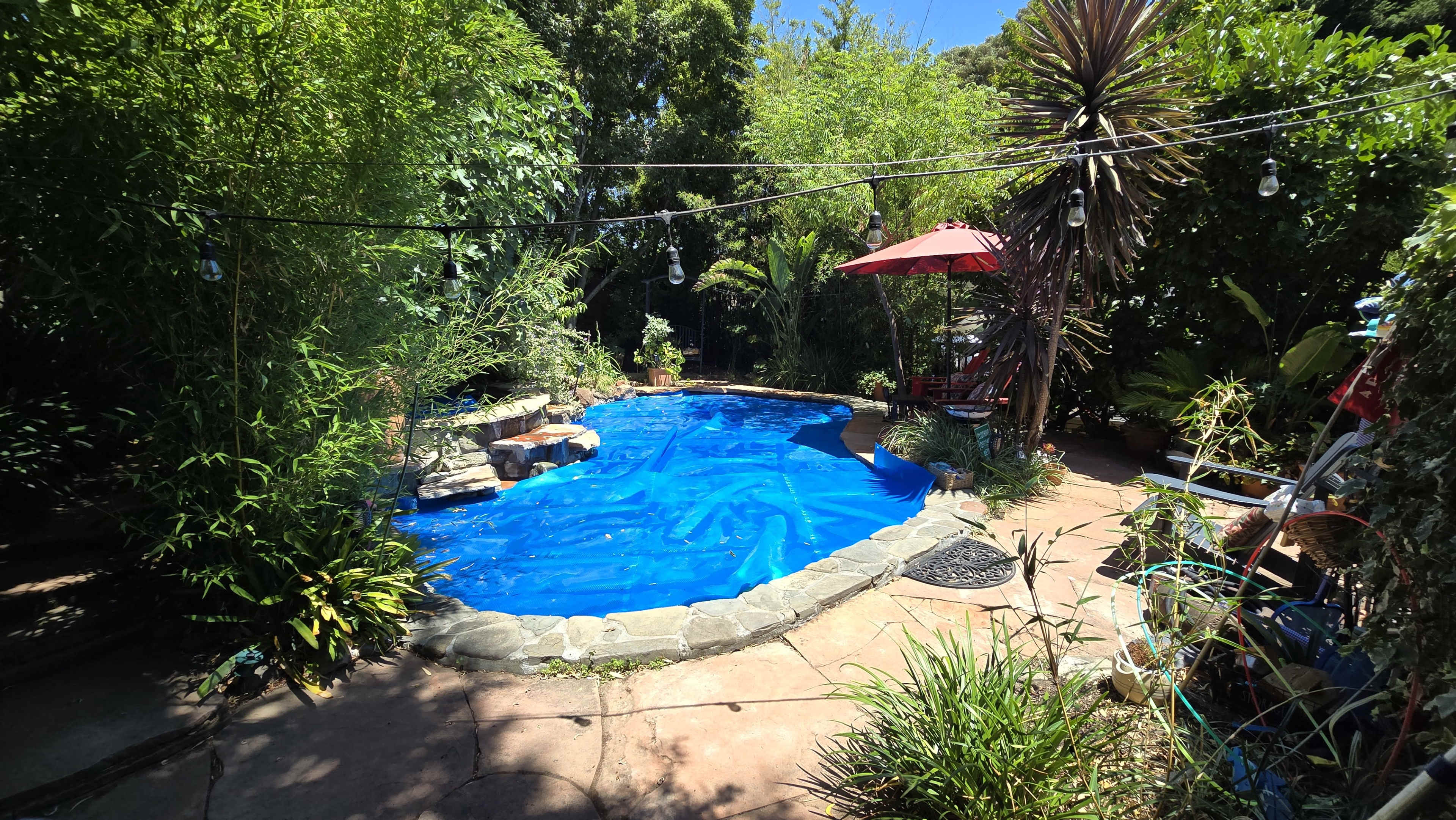 A swimming pool surrounded by lush greenery, with a blue tarp covering the water and a red umbrella nearby.