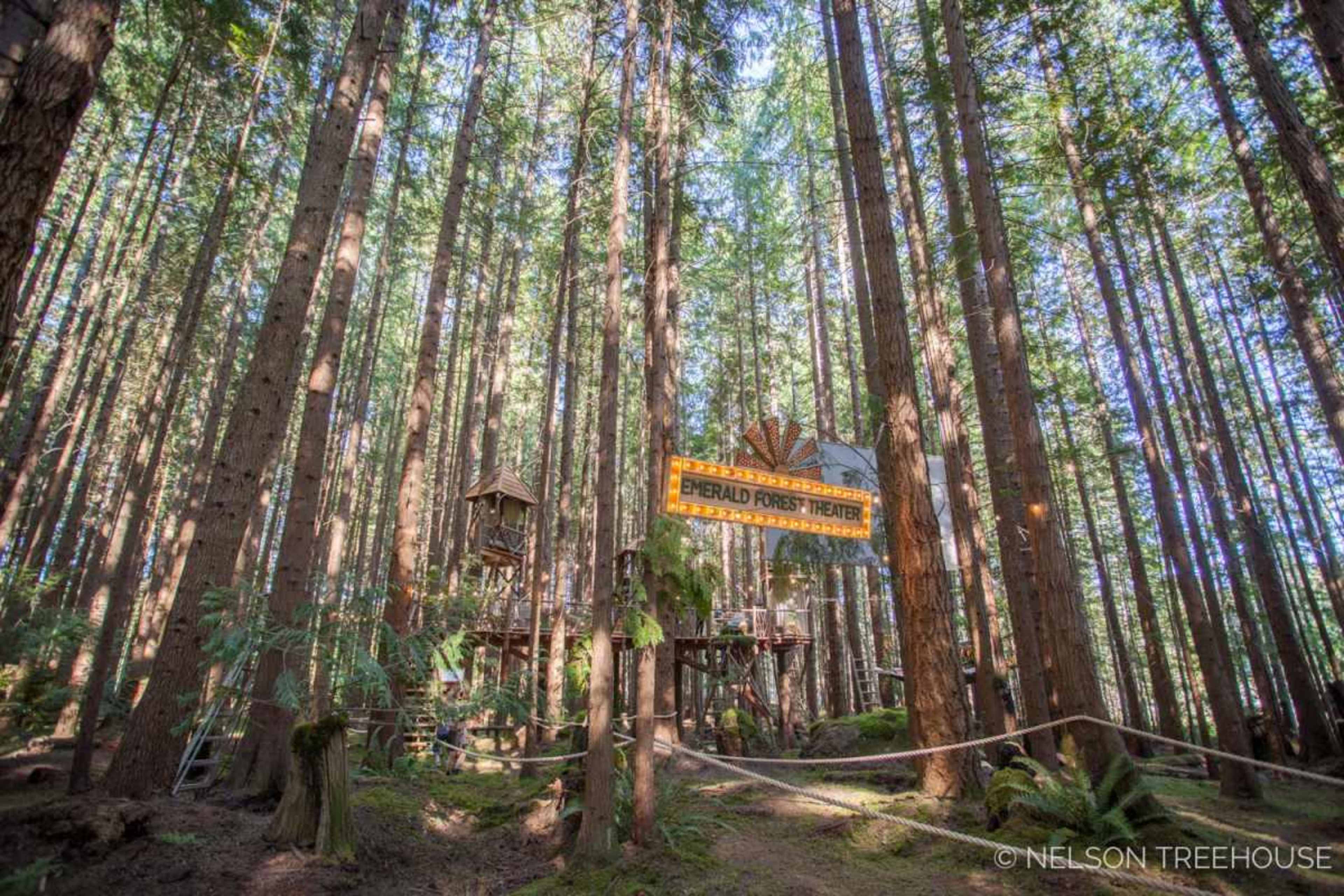 The image shows a treehouse nestled among tall, straight trees in a dense forest, with a sign reading "Emerald Forest Treehouse" above.