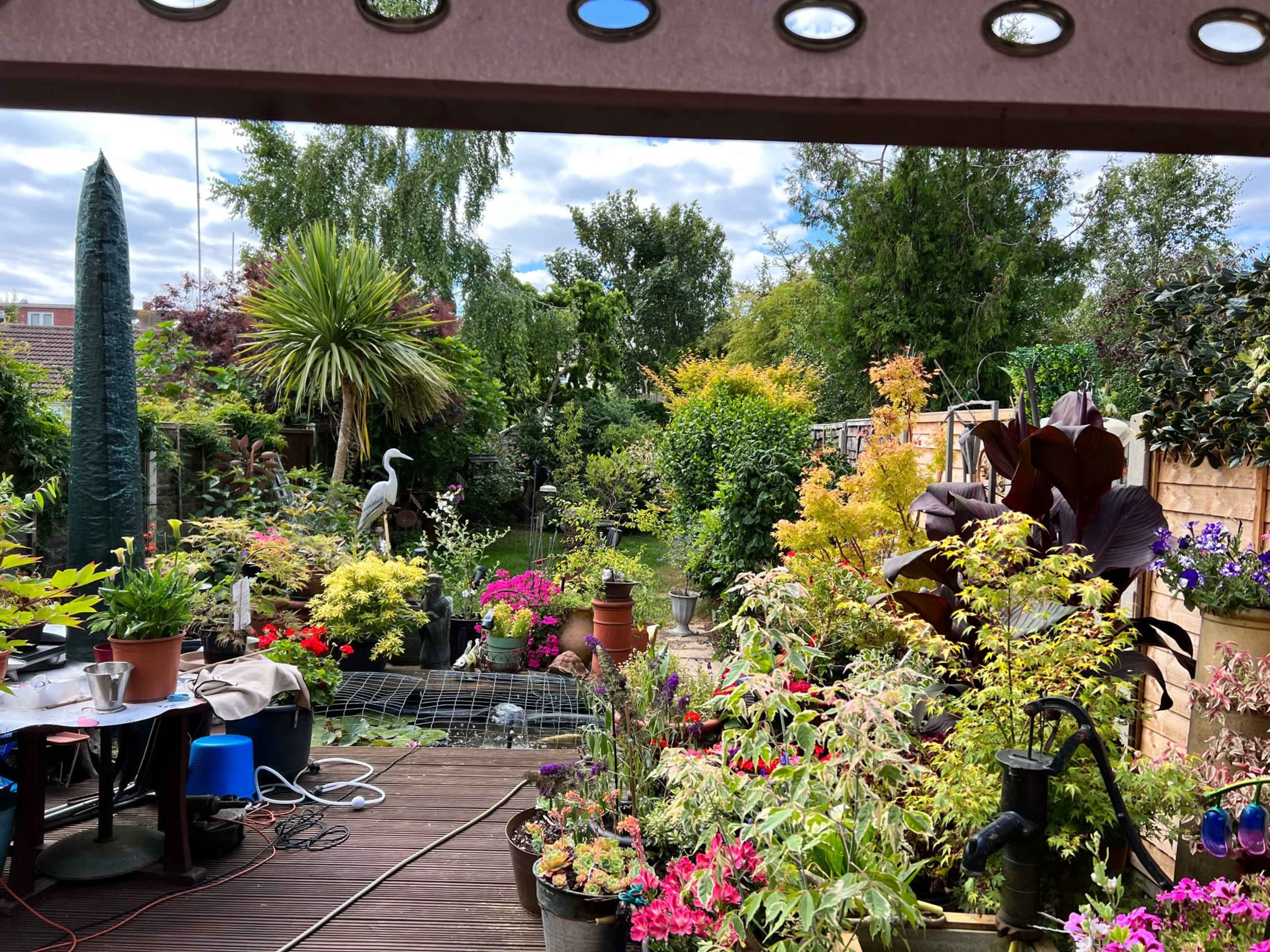 A vibrant garden filled with various plants, flowers, and a sculpture of a heron, viewed from a wooden deck.