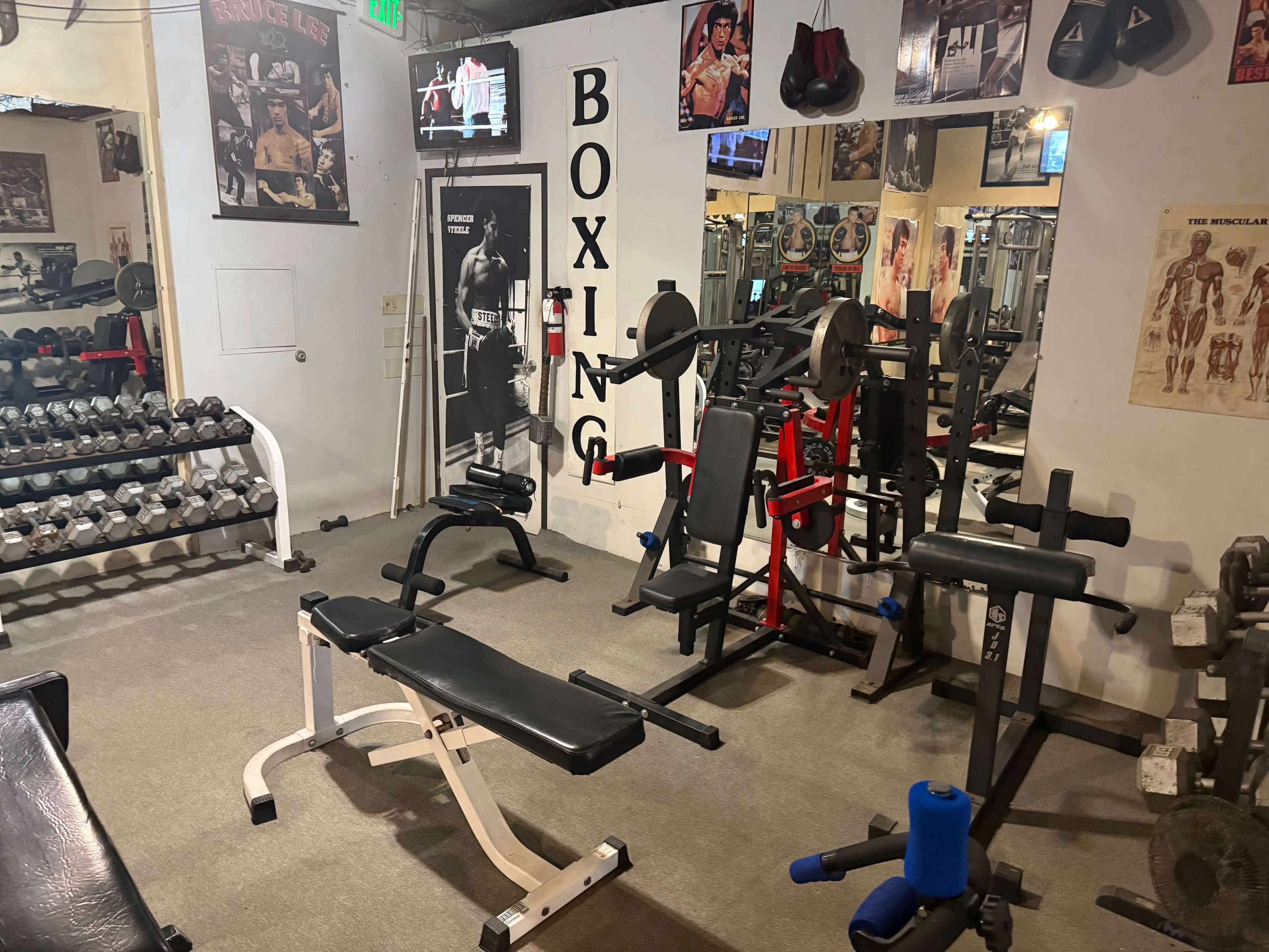 boxing kickboxing gym fitness studio weight training gym Image in Venice, Marina Del Rey, CA