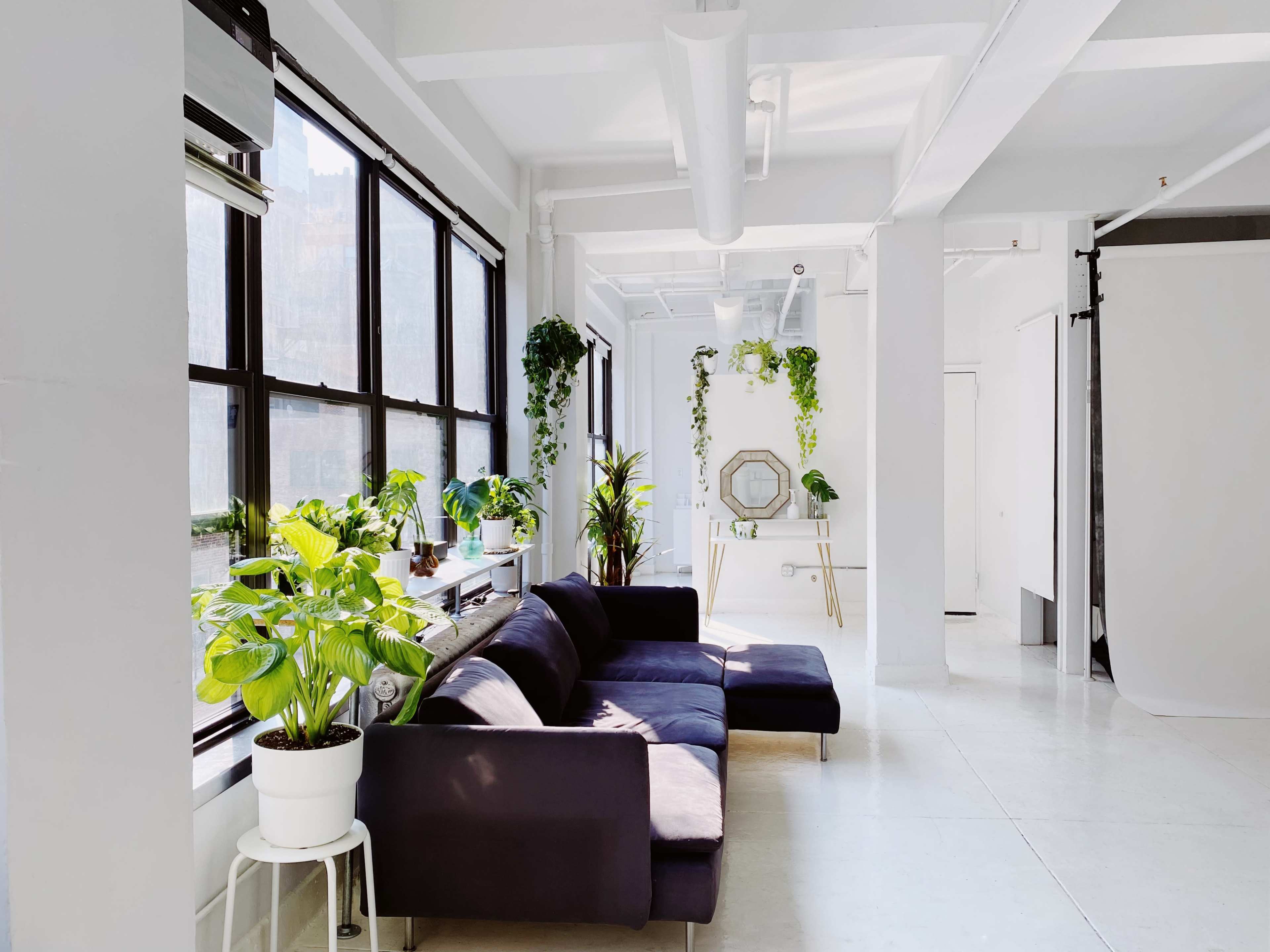 A bright and airy room features a dark sofa, large windows with plants on the sill, and a mirror reflecting greenery.