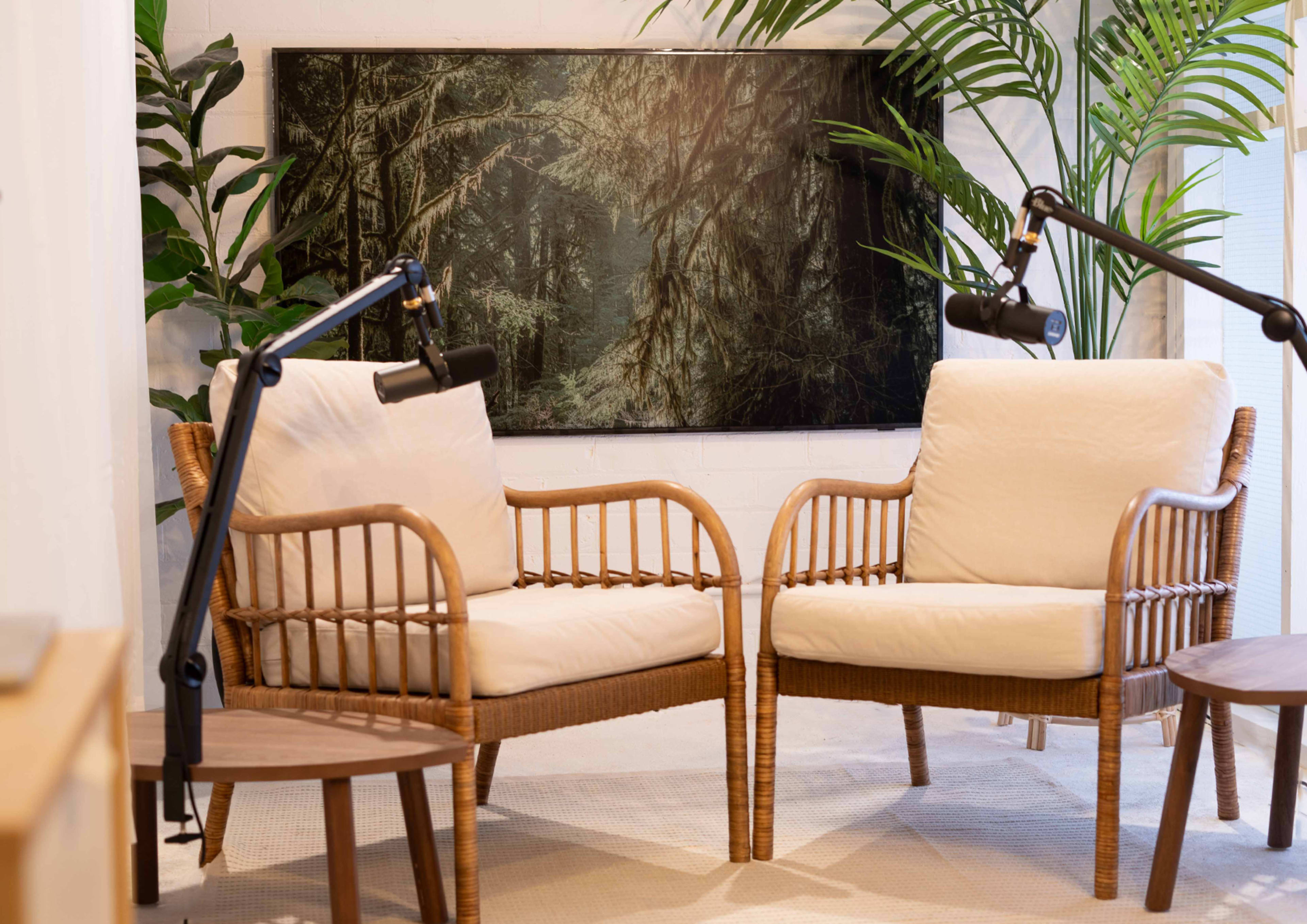Two wicker armchairs with cream cushions positioned facing each other in a well-lit room adorned with a large nature-themed painting and tropical plants.