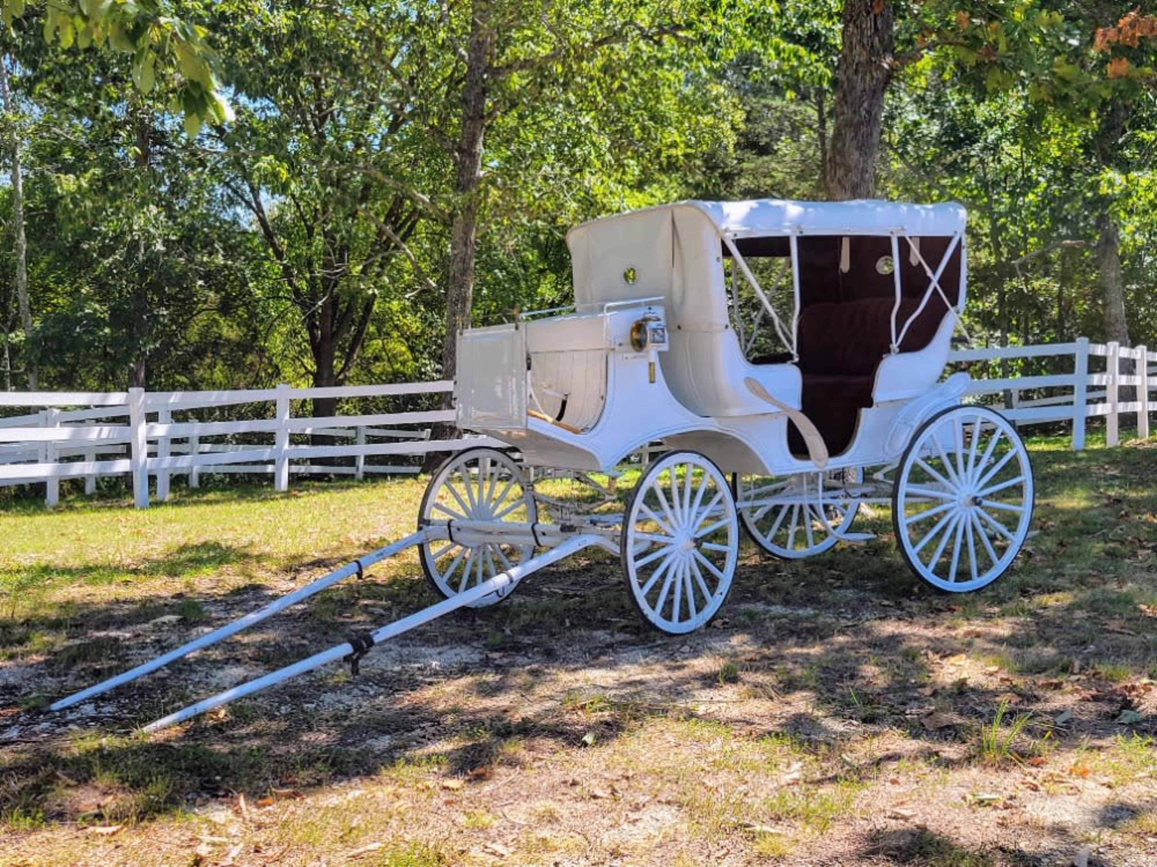 White Wedding Carriage (Stationary- No Horse)