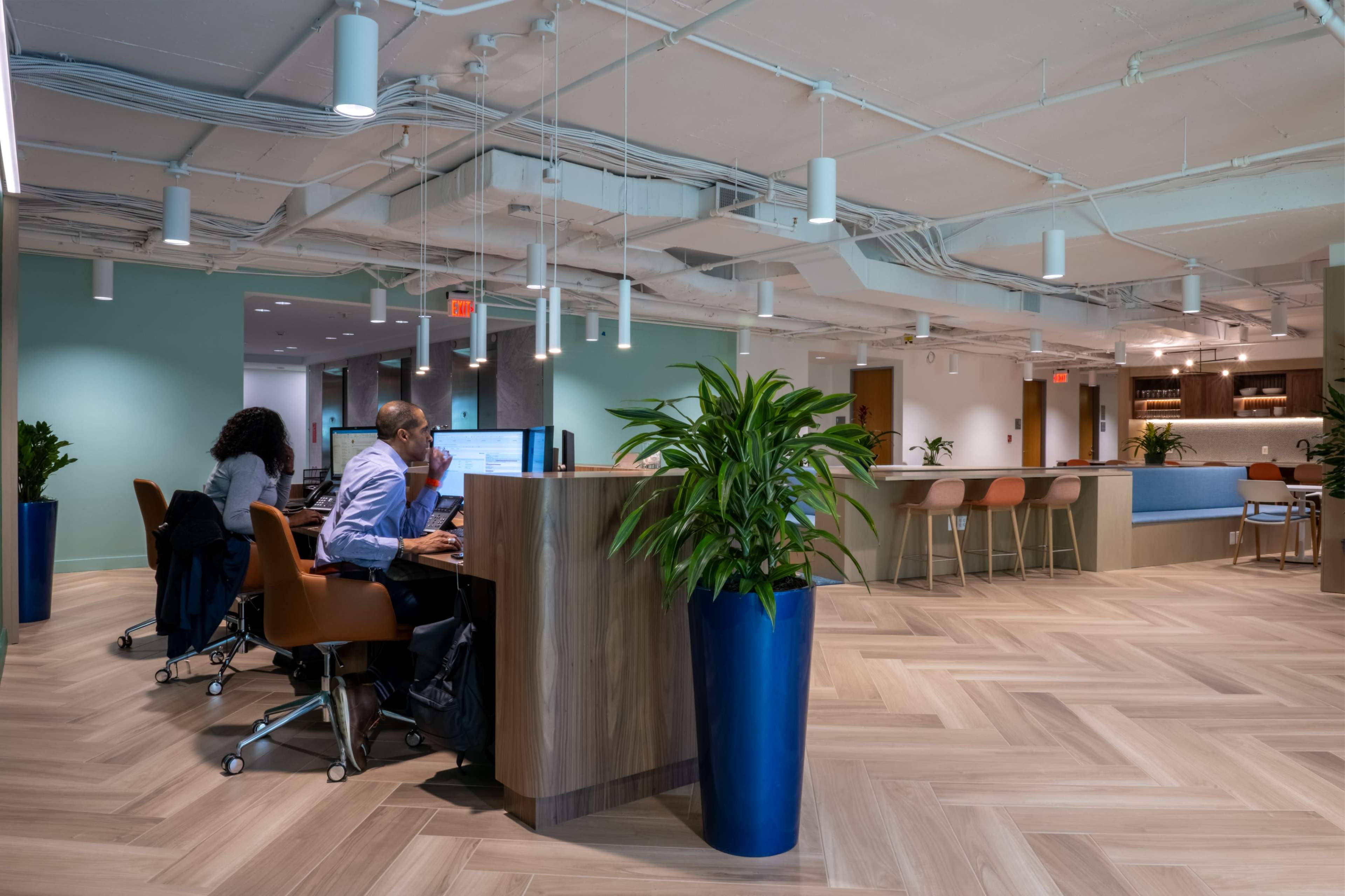 A modern office space with two people working at desks, surrounded by plants and a kitchen area in the background.