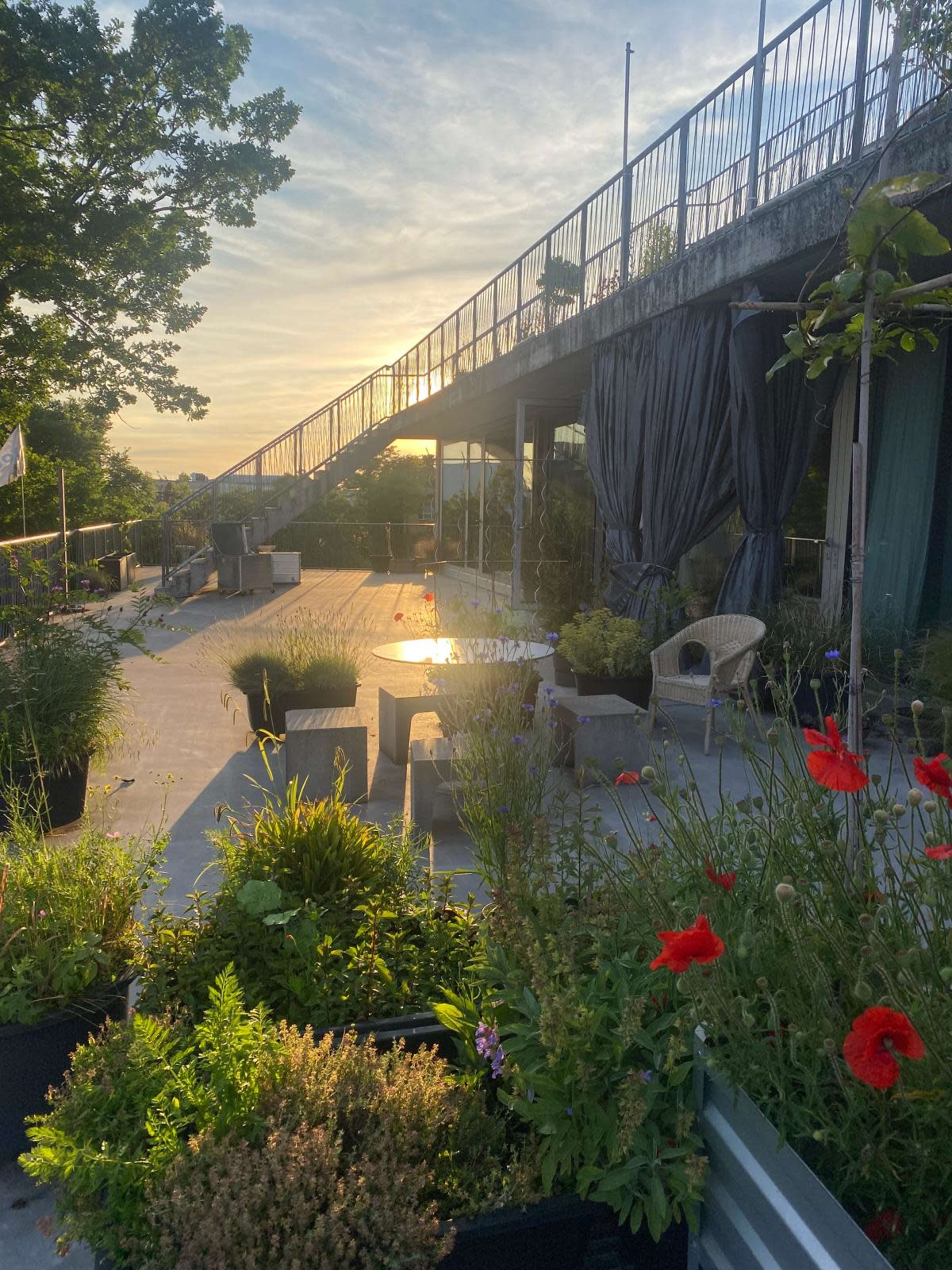 The image shows a sunset view over a terrace adorned with potted plants and modern furniture.