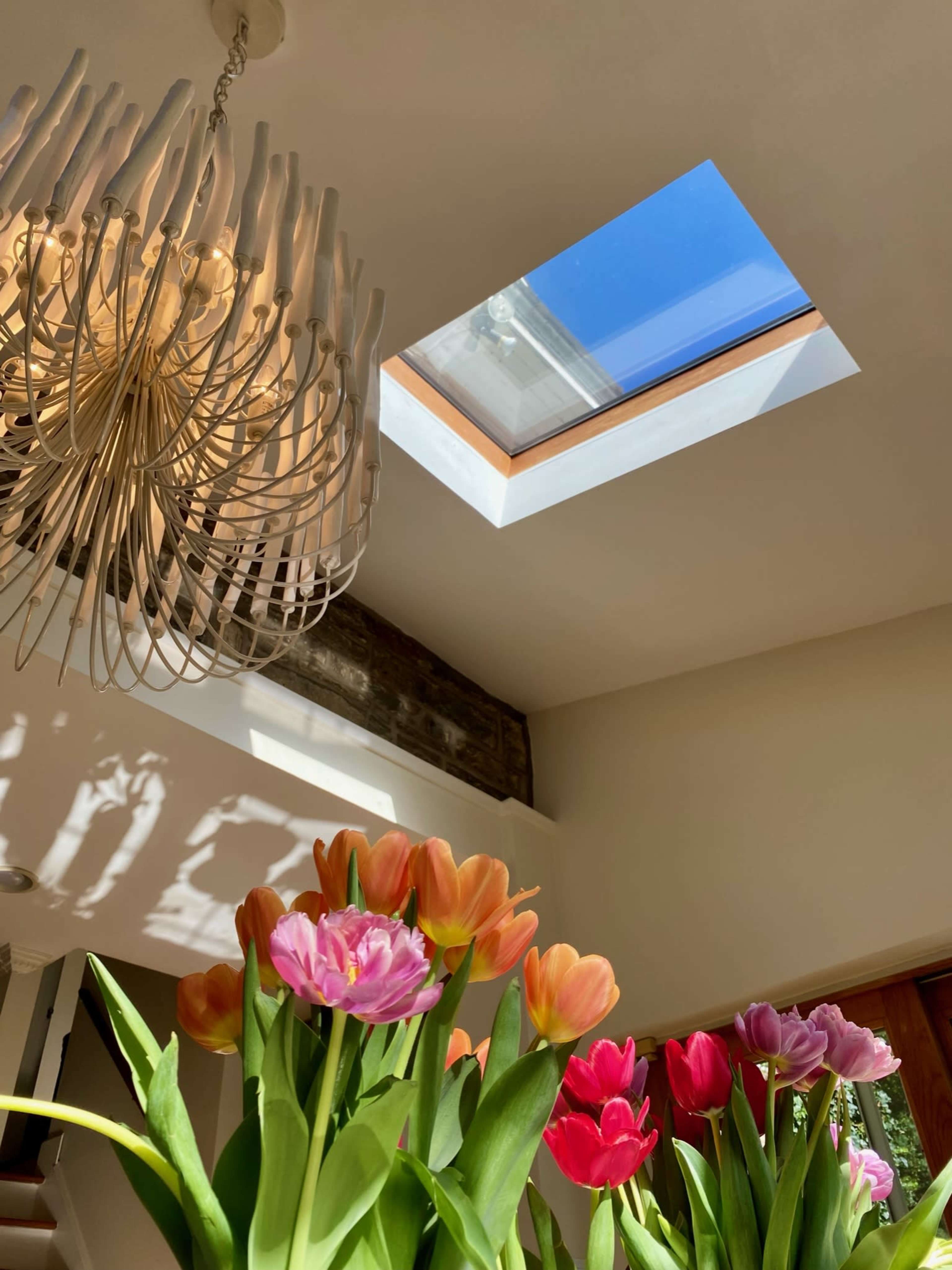 A chandelier hangs from the ceiling above a bouquet of colorful tulips, with a skylight illuminating the scene.