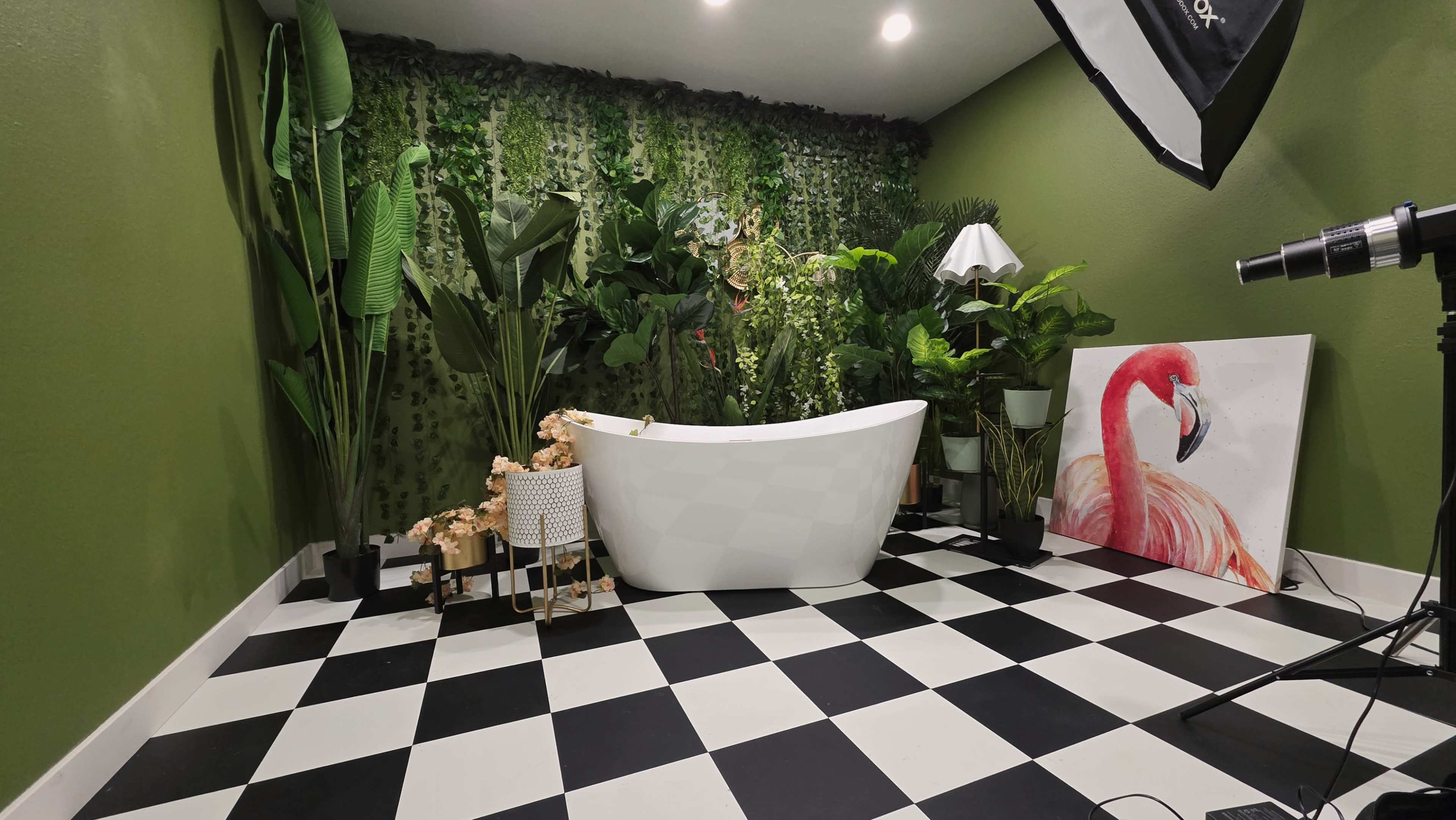 Photo / Video Studio near IAH Airport Image in Iah / Airport Area, Humble, TX