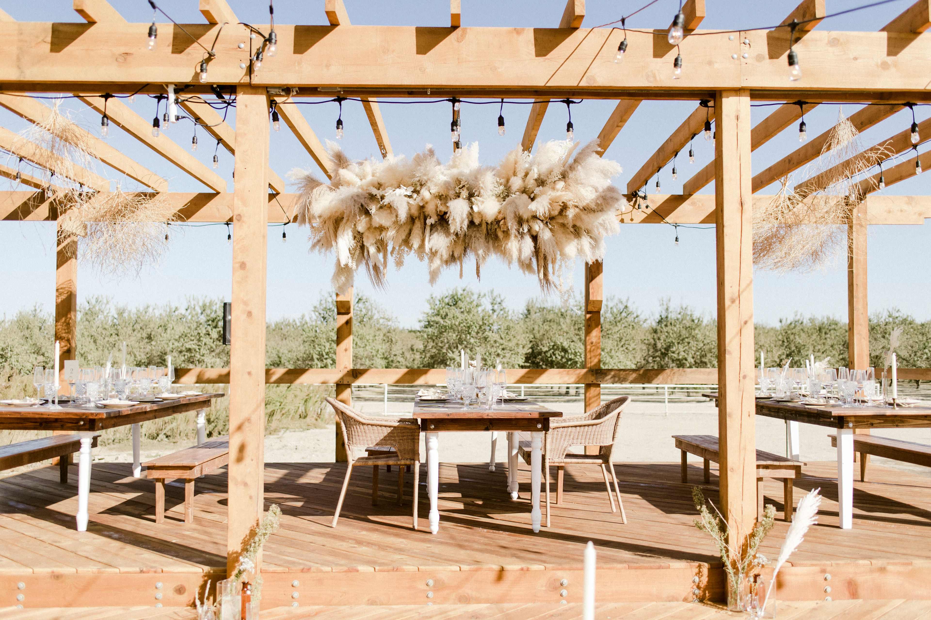 Farmhouse surrounded by Almond Orchards Image in , Fresno, CA
