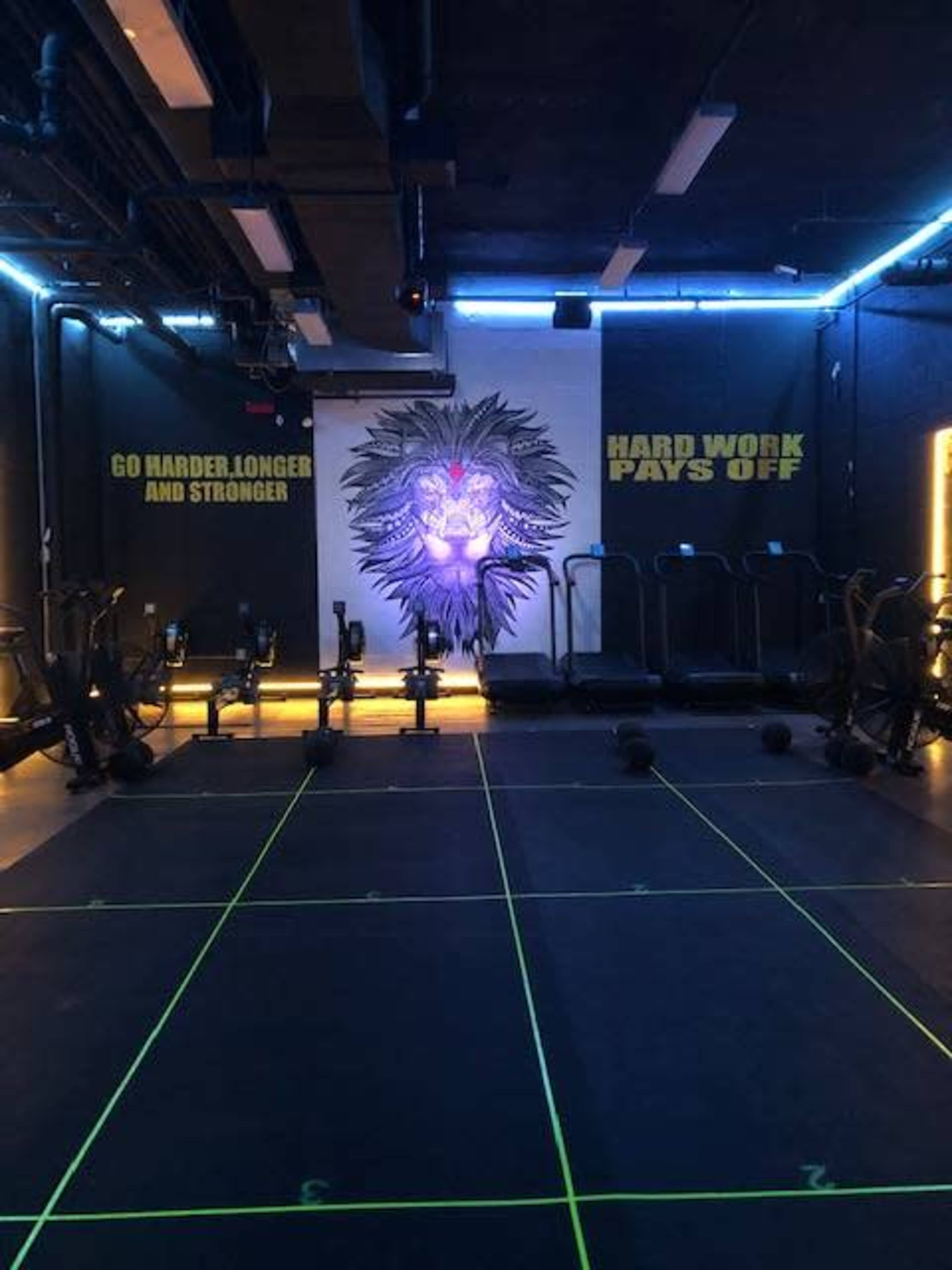 The gym features exercise equipment arranged on a marked floor with motivational phrases on the walls and a lion mural.