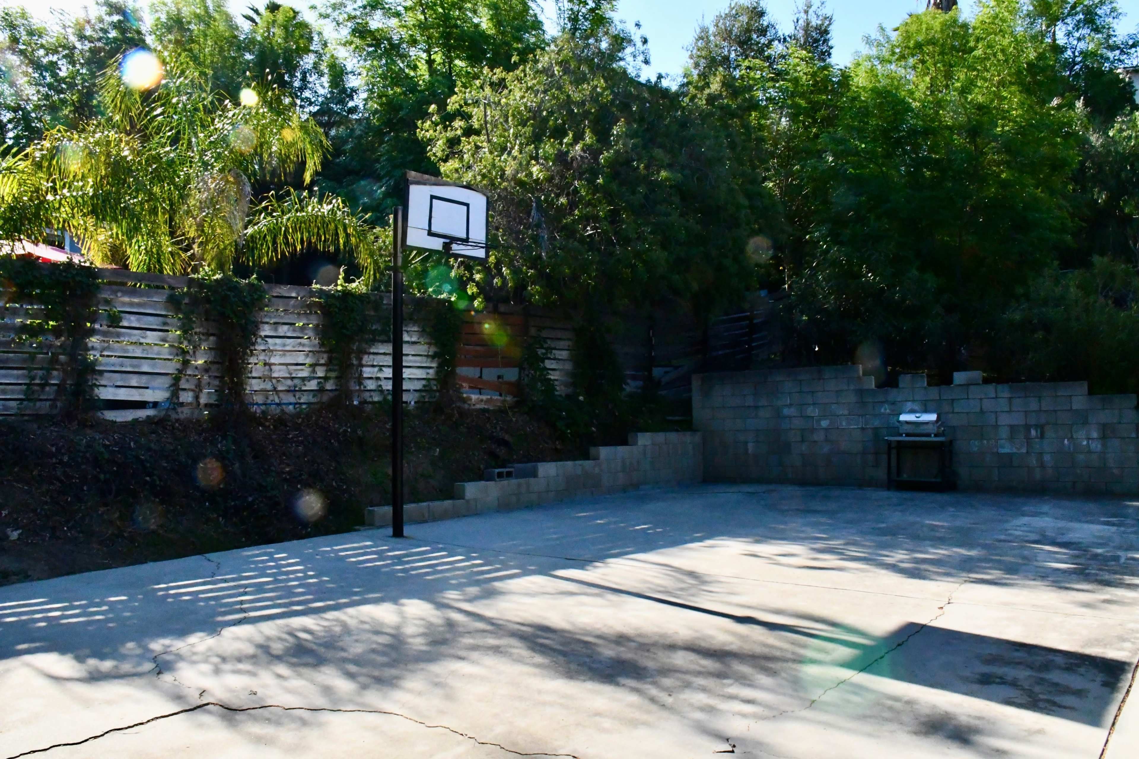 A basketball hoop stands on a concrete court surrounded by greenery and a wooden fence.