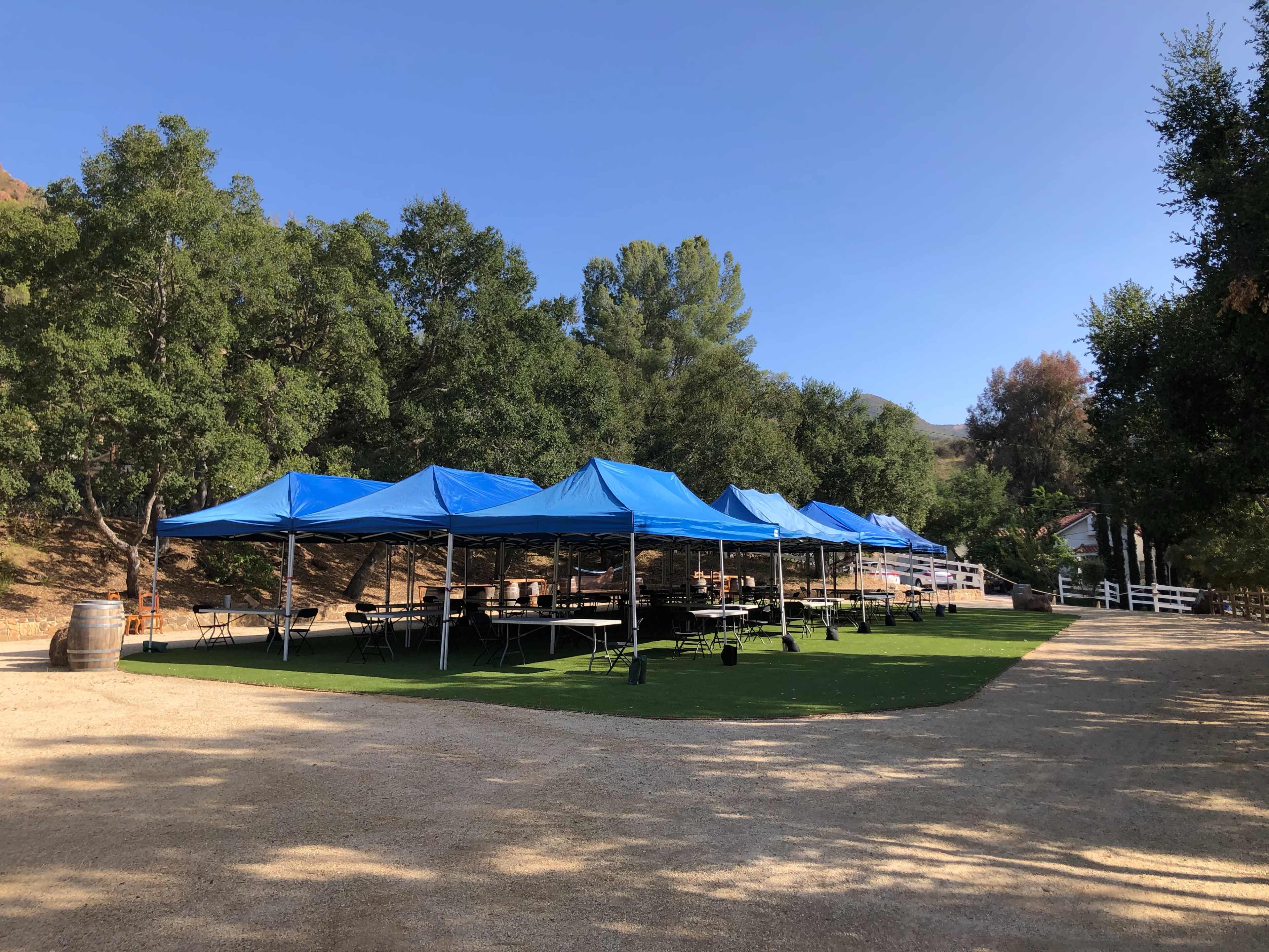 A row of blue tents is set up on a grassy area beside a dirt path, surrounded by trees and a white fence.