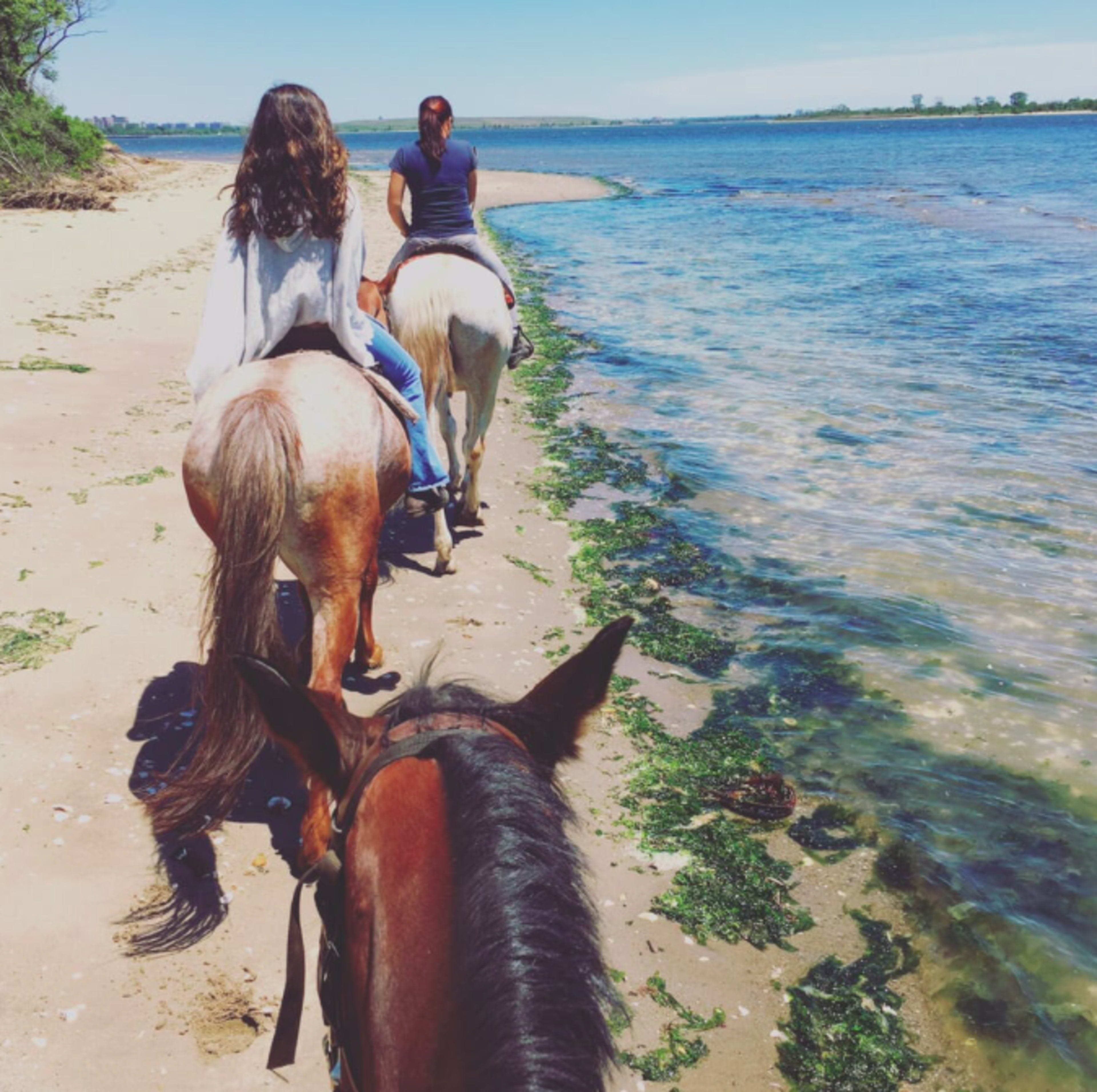 Two riders on horses walk along a sandy beach by the water's edge.