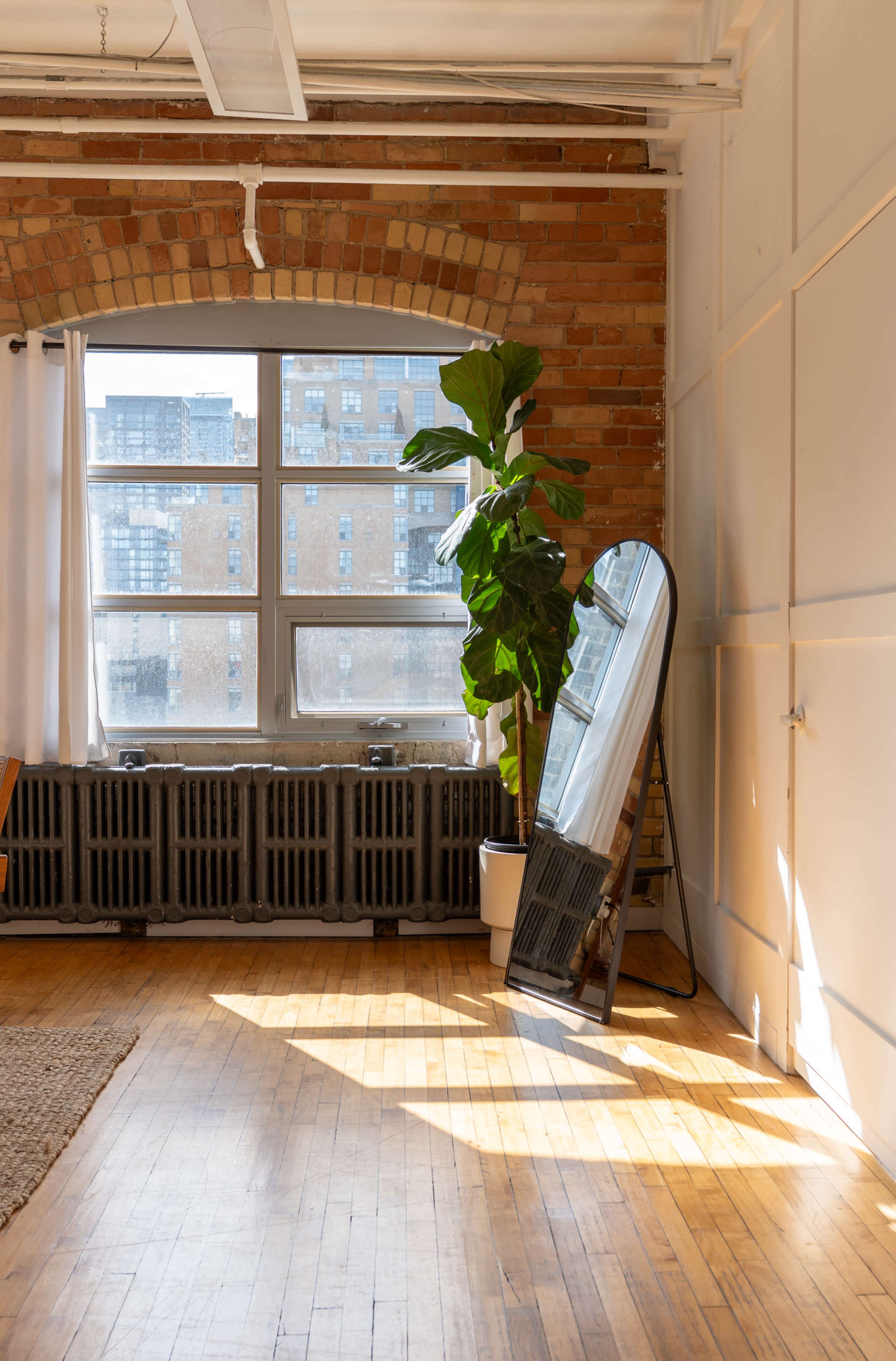 A bright, airy room features a large window, a tall potted plant, and an oval mirror beside a vintage radiator on a wooden floor.