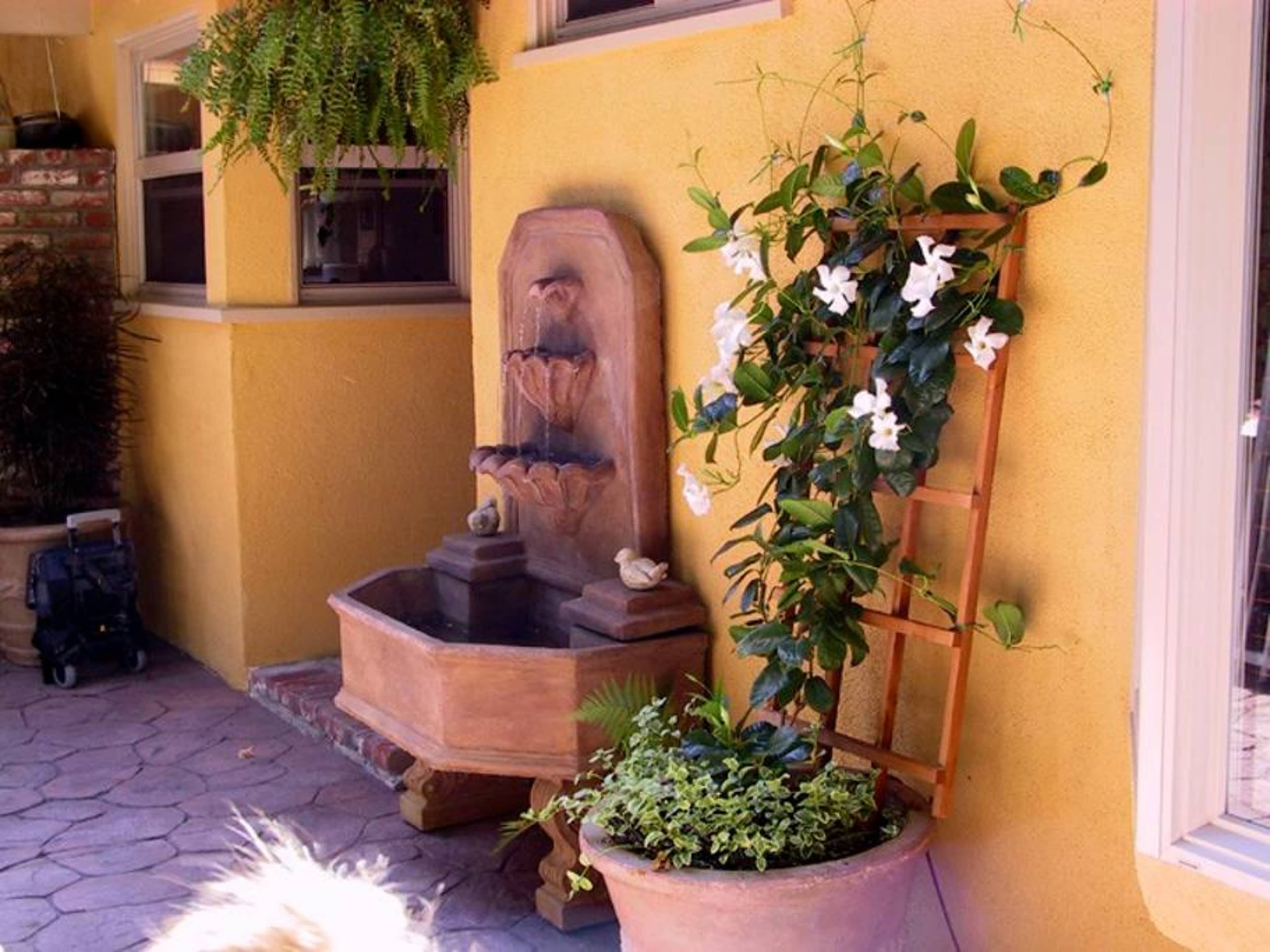 A wall-mounted fountain with a curved basin, surrounded by potted plants and climbing vines, is positioned next to a yellow wall.