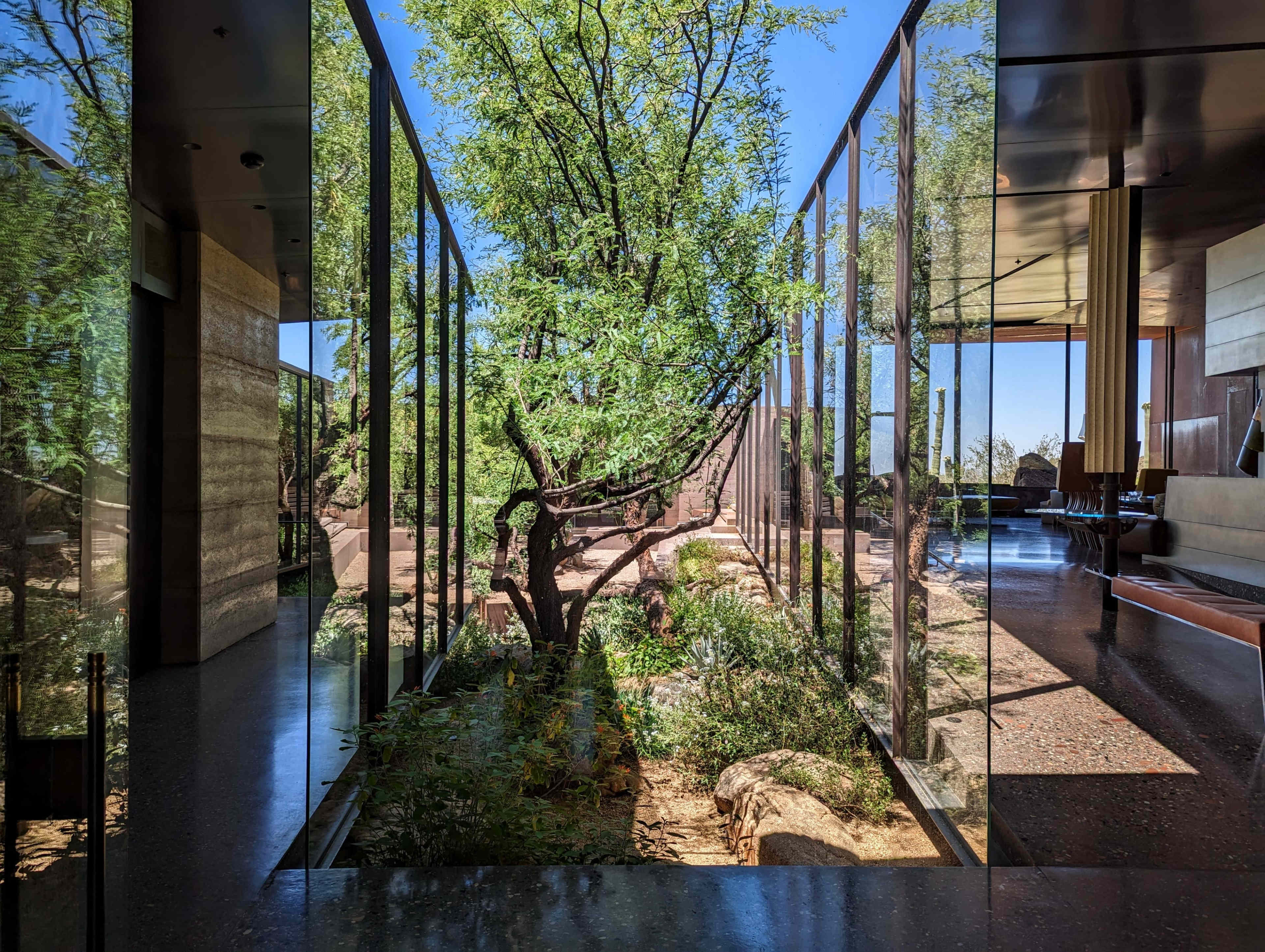 The image shows a modern interior space with large glass walls providing a view of a tree and surrounding greenery under a clear blue sky.