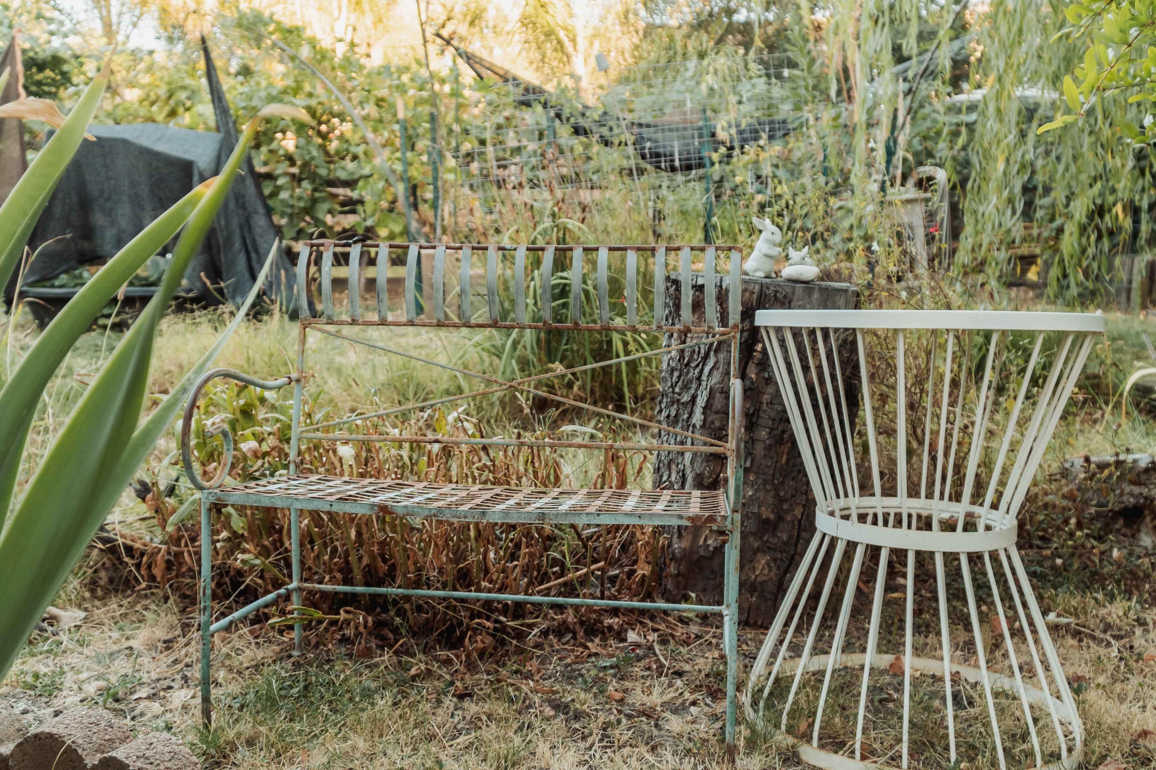 Year-Round Private Outdoor Garden Studio (comes with photographer) Image in Rocklin, Rocklin, CA