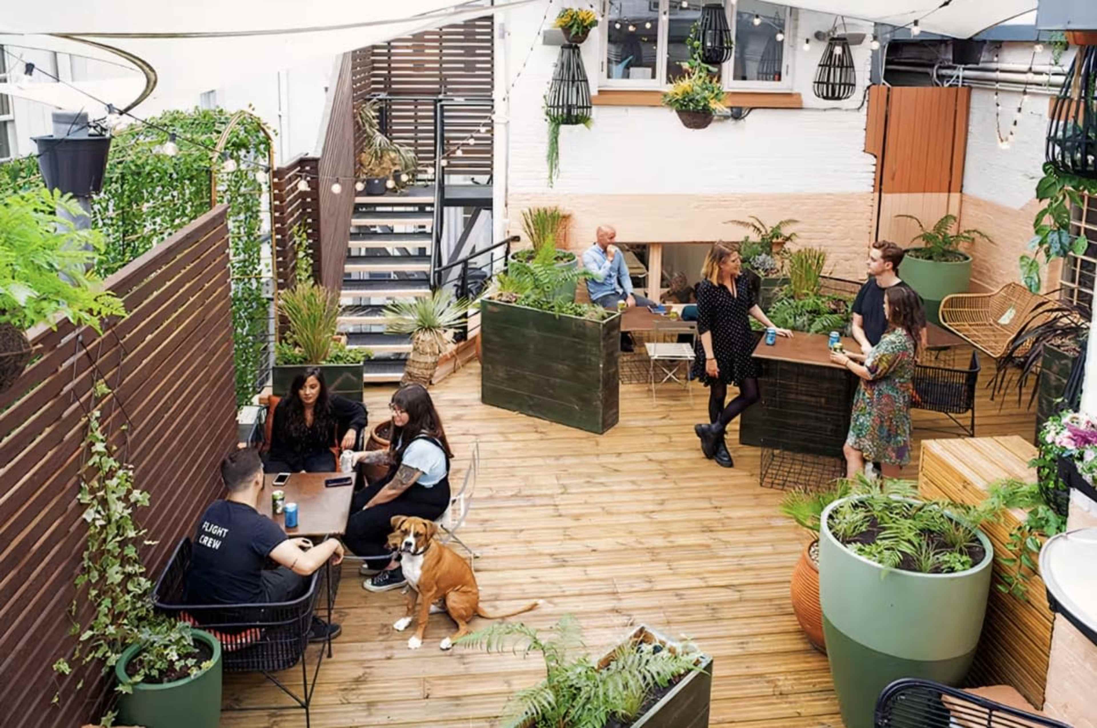 The scene depicts a vibrant outdoor space with wooden decking, green plants in large pots, and people seated at various tables enjoying drinks and conversation.
