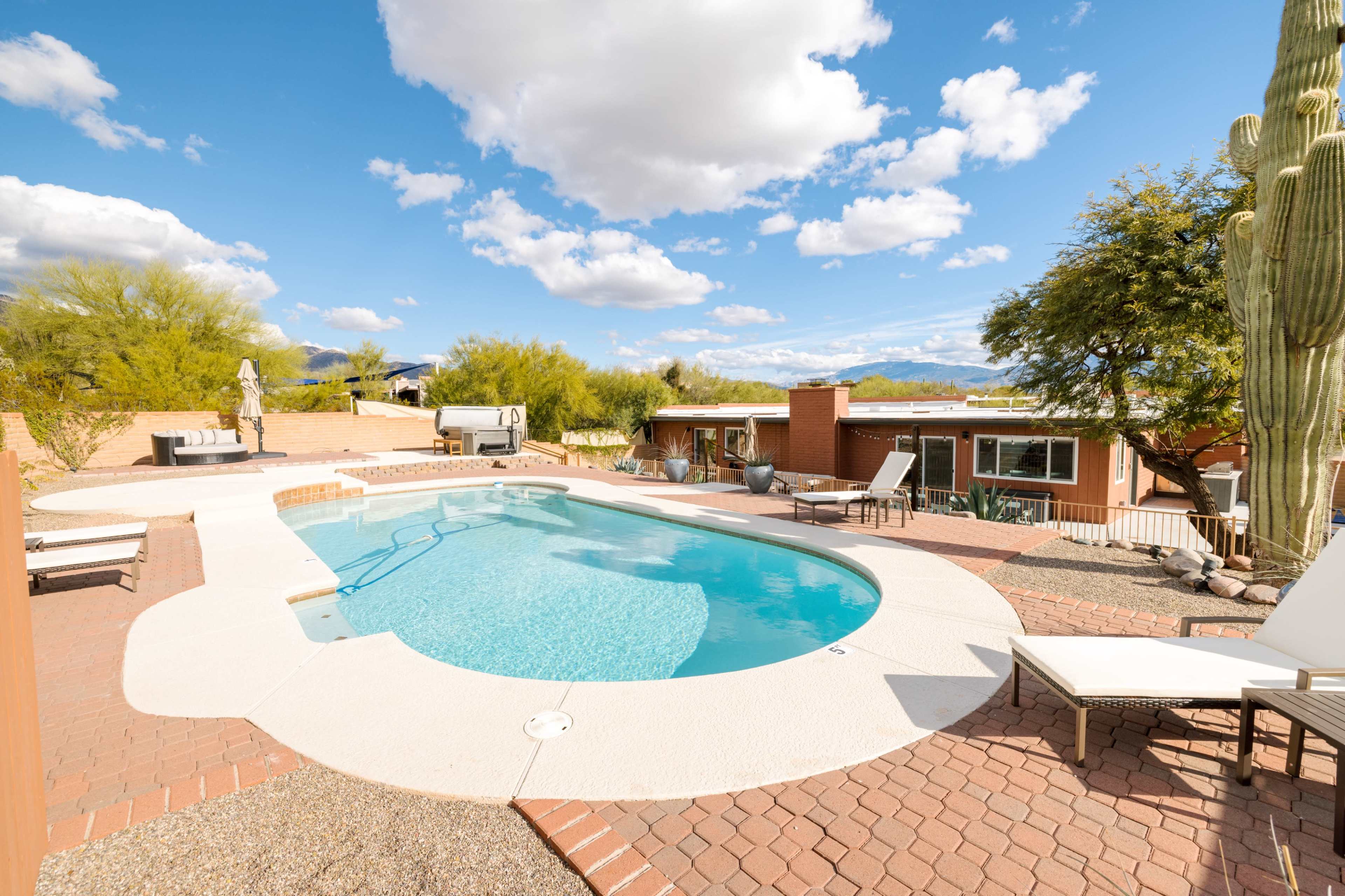 A landscaped backyard featuring a swimming pool surrounded by lounge chairs and a patio area, with desert vegetation and a house in the background.