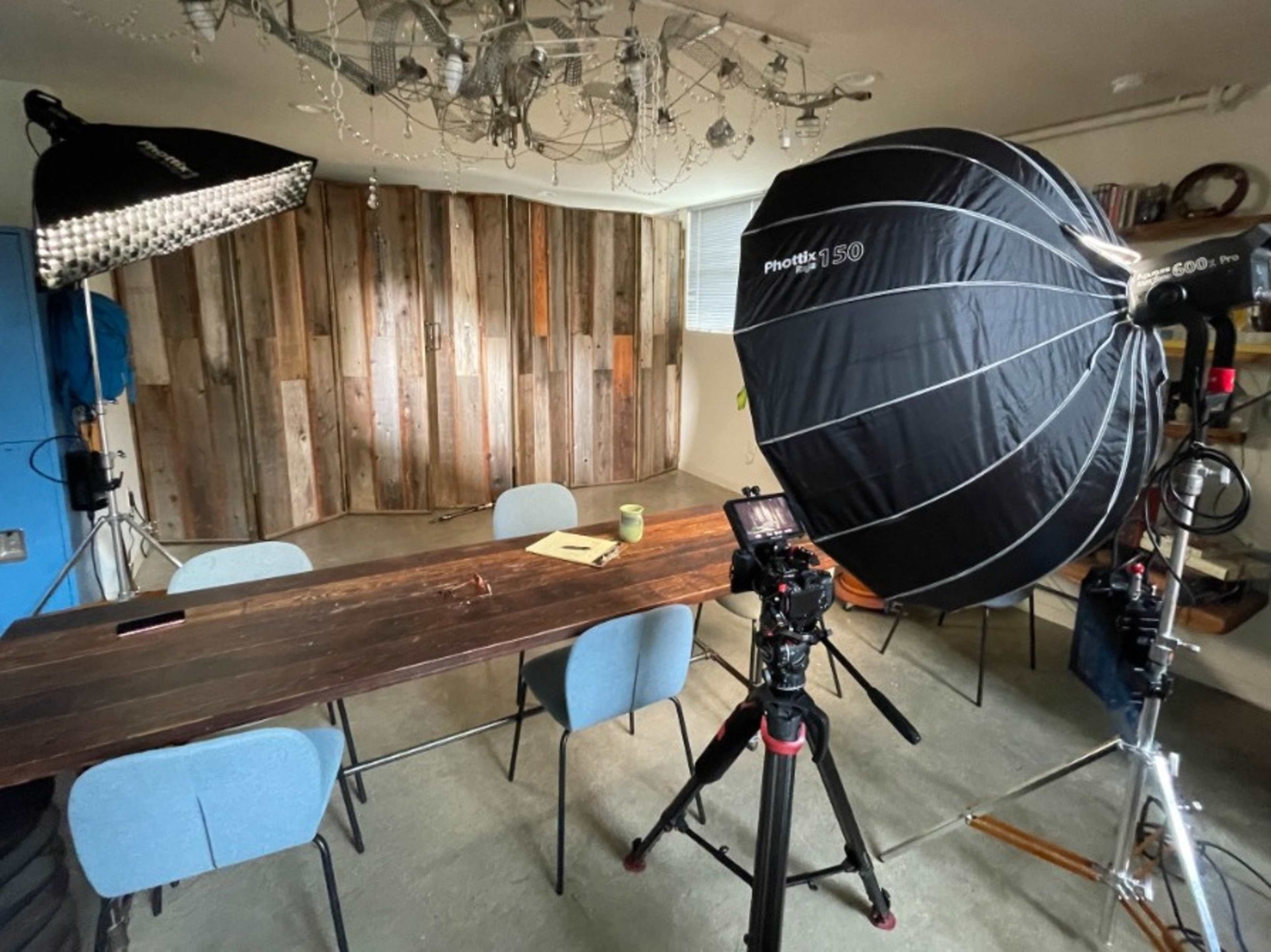 Magnolia Studios | 🎬 🗣️ INTERVIEW LOFT 🪴 🌞 Sun + Plants + Vibe 🎥 🎤 💡 ...