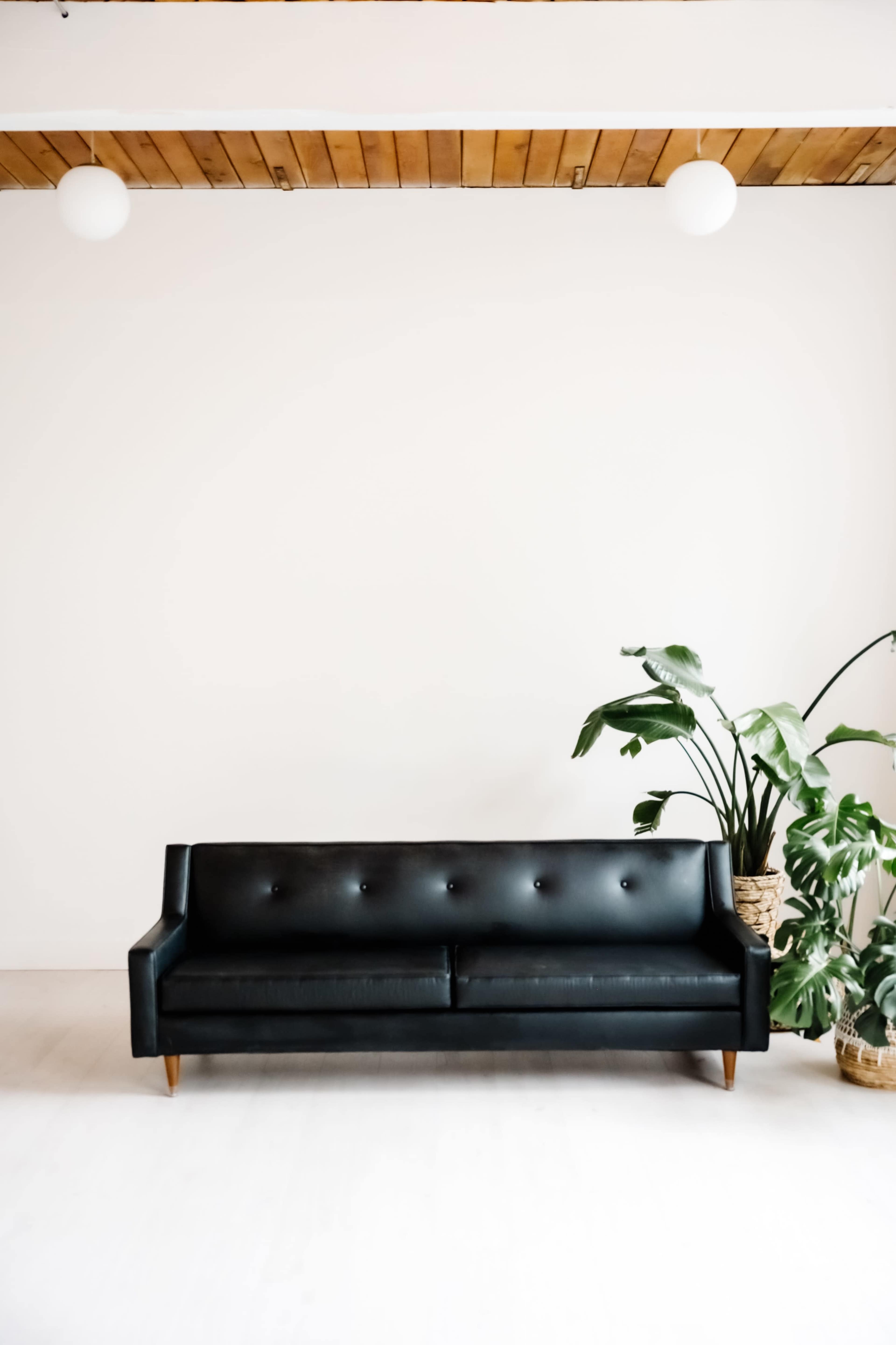 A black mid-century modern sofa with wooden legs is positioned against a white wall, accompanied by a potted plant on the right.