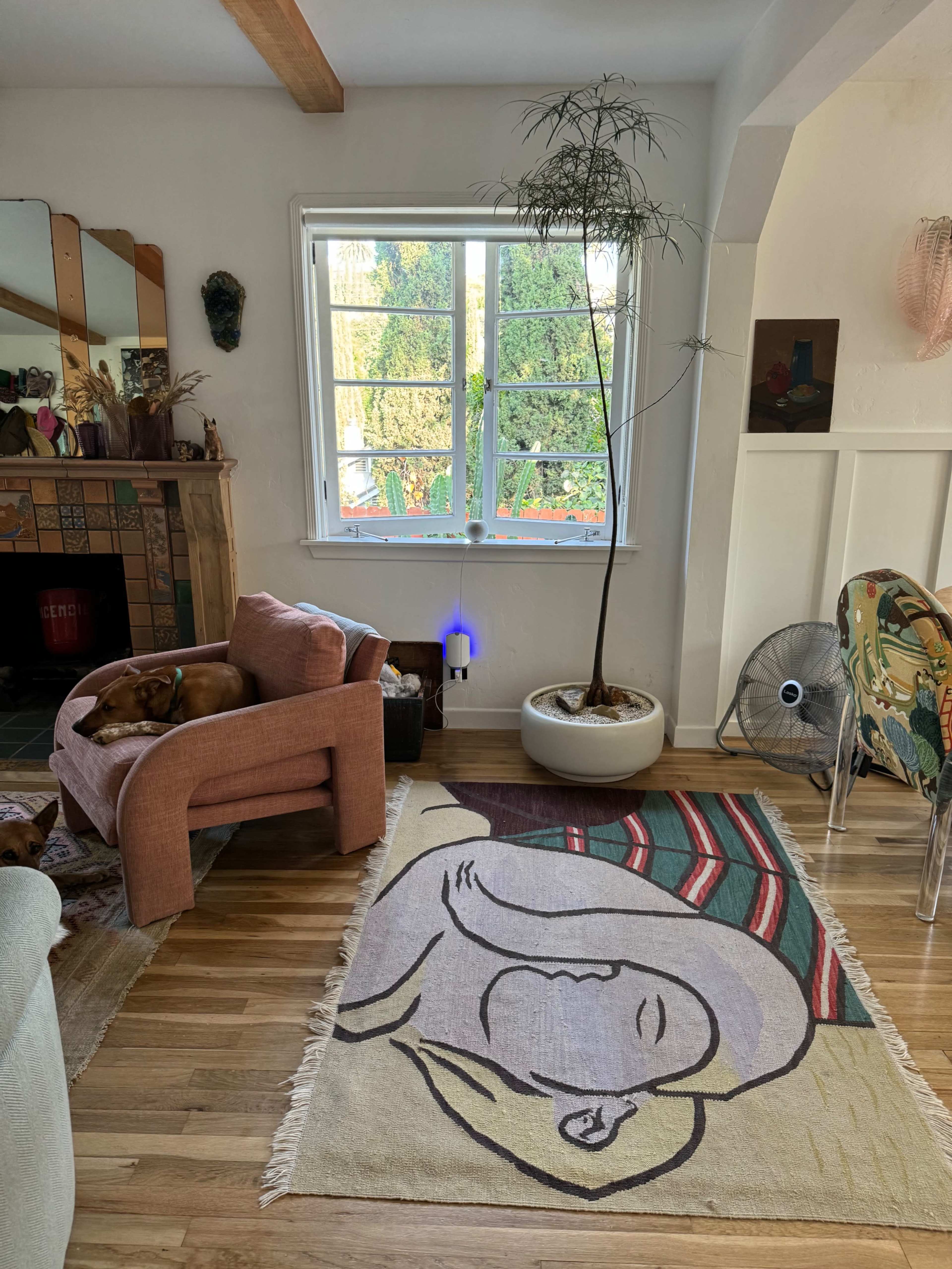 Renovated California Bungalow in Echo Park Image in Echo Park, Los Angeles, CA