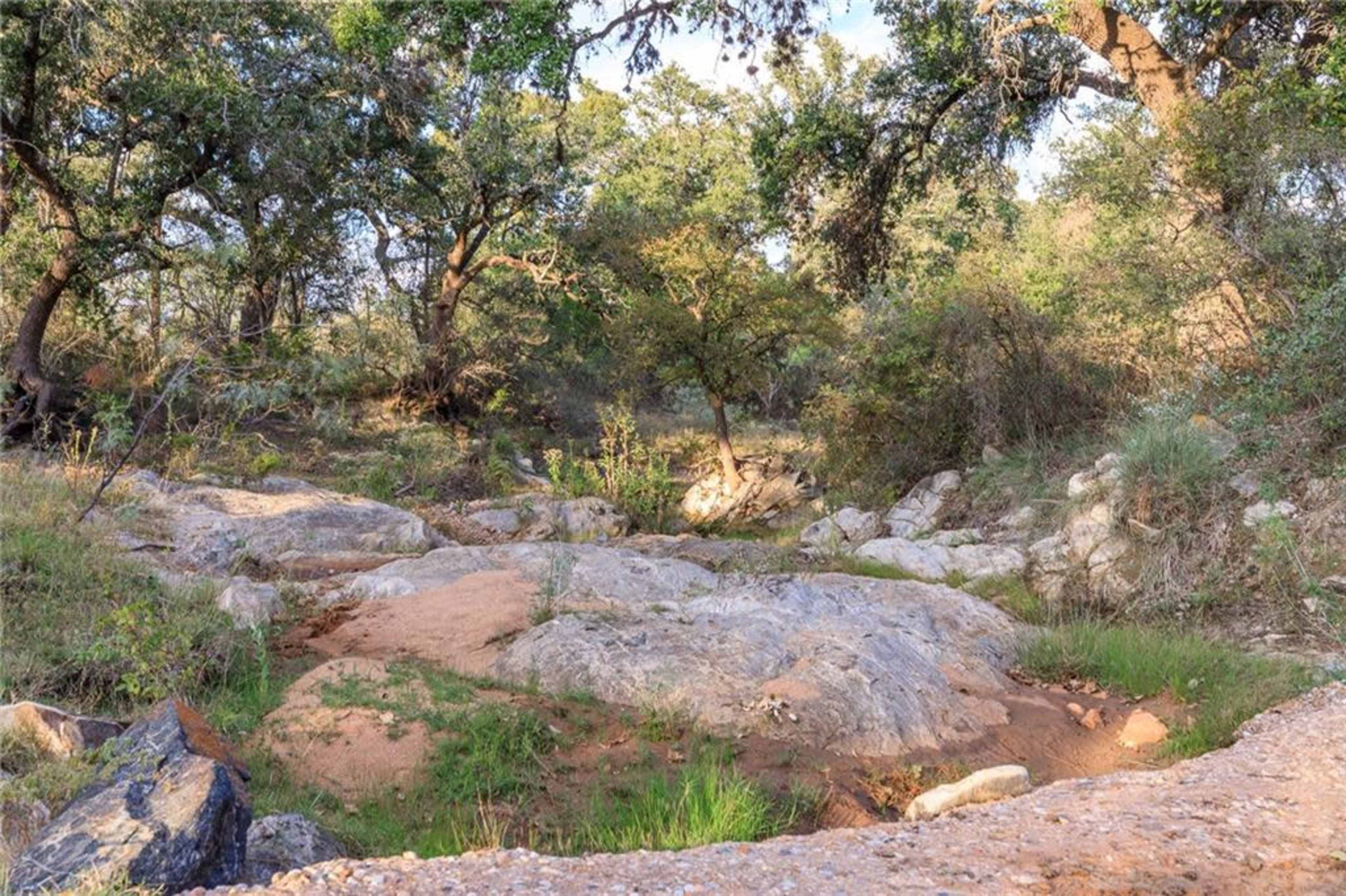 The image shows a rocky, uneven terrain with sparse vegetation surrounded by trees in a natural setting.