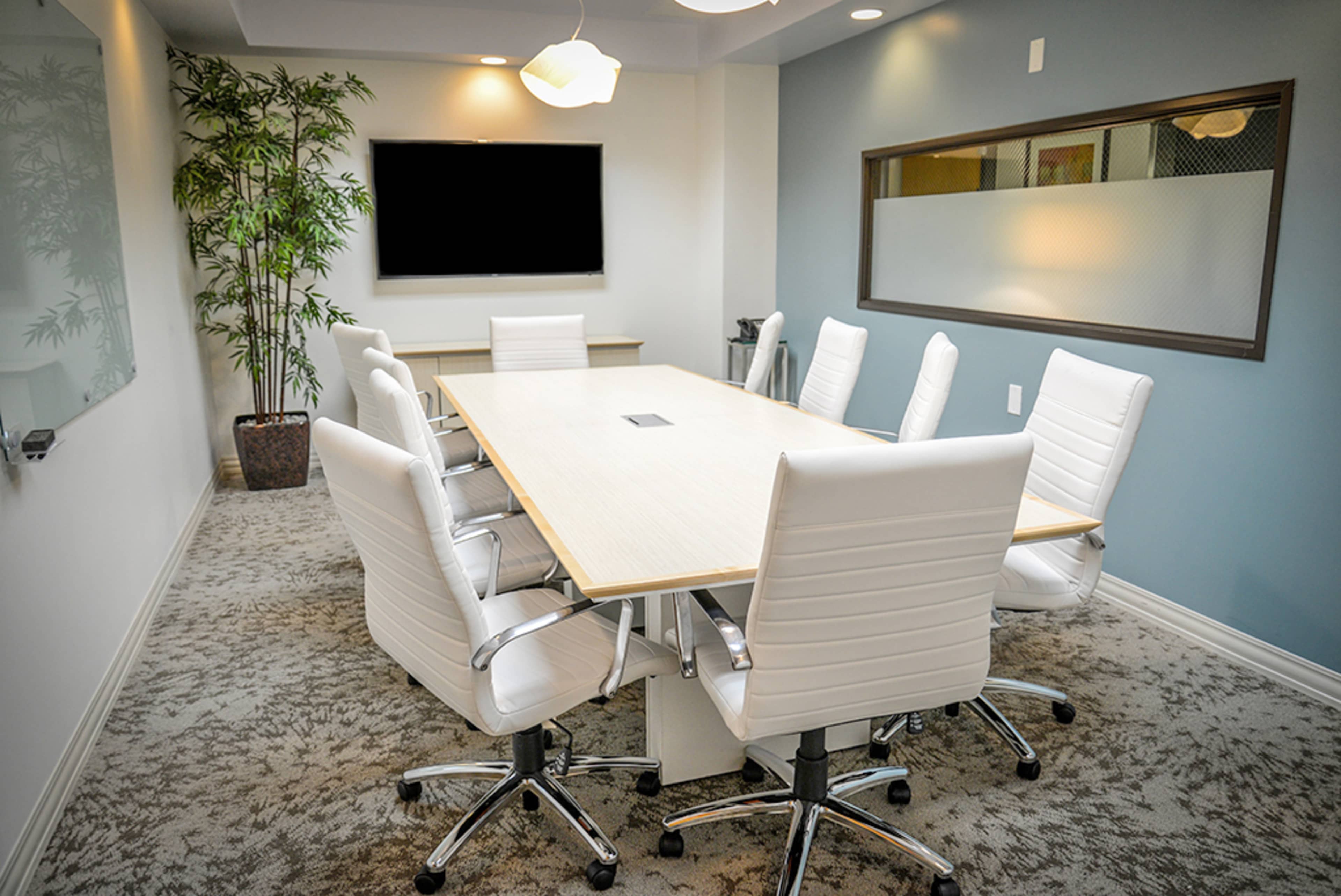 A modern conference room features a long table surrounded by white ergonomic chairs, with a television mounted on the wall and a potted plant in the corner.