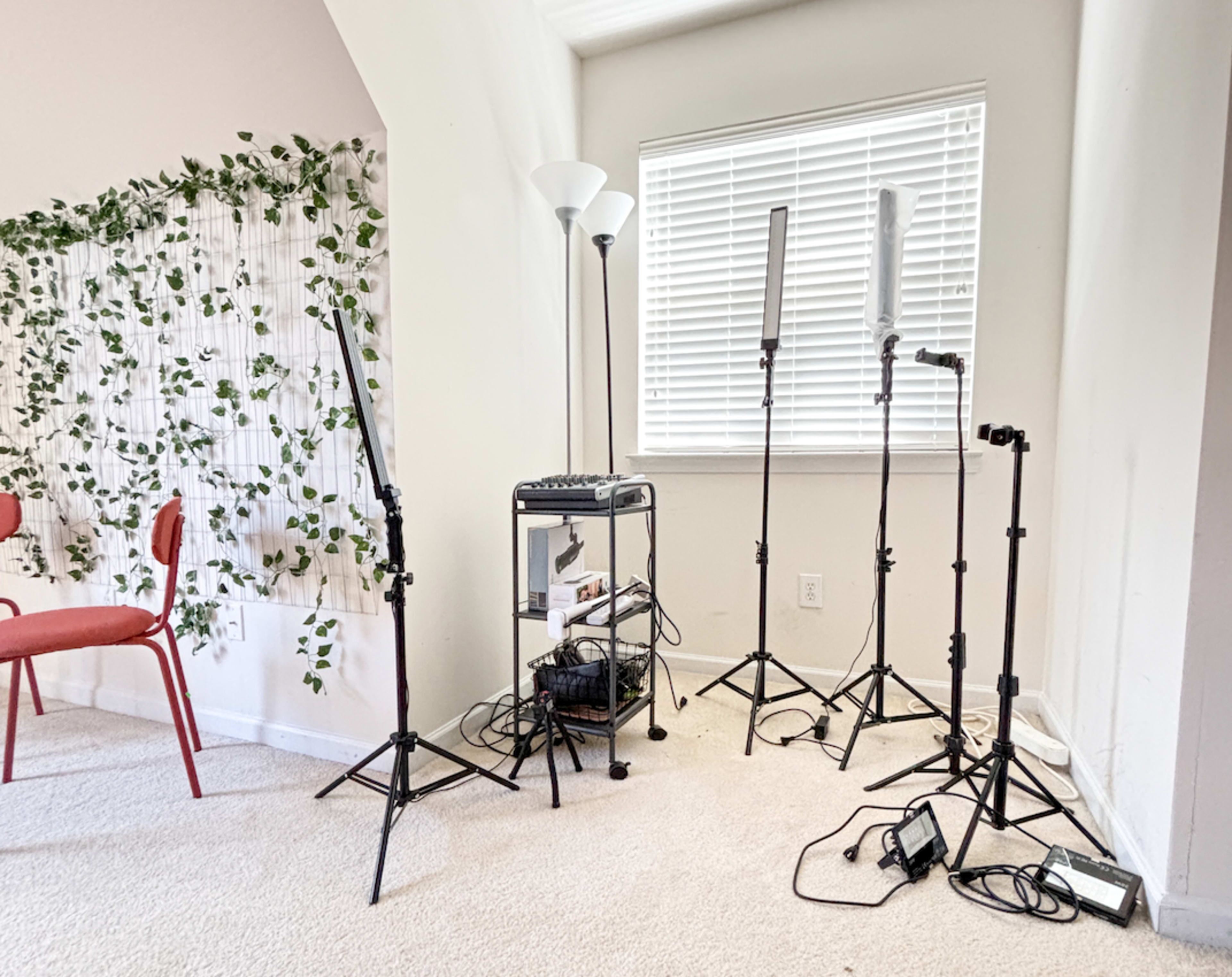 A corner of a room with a chair, potted plants along the wall, and several photography lights on stands.