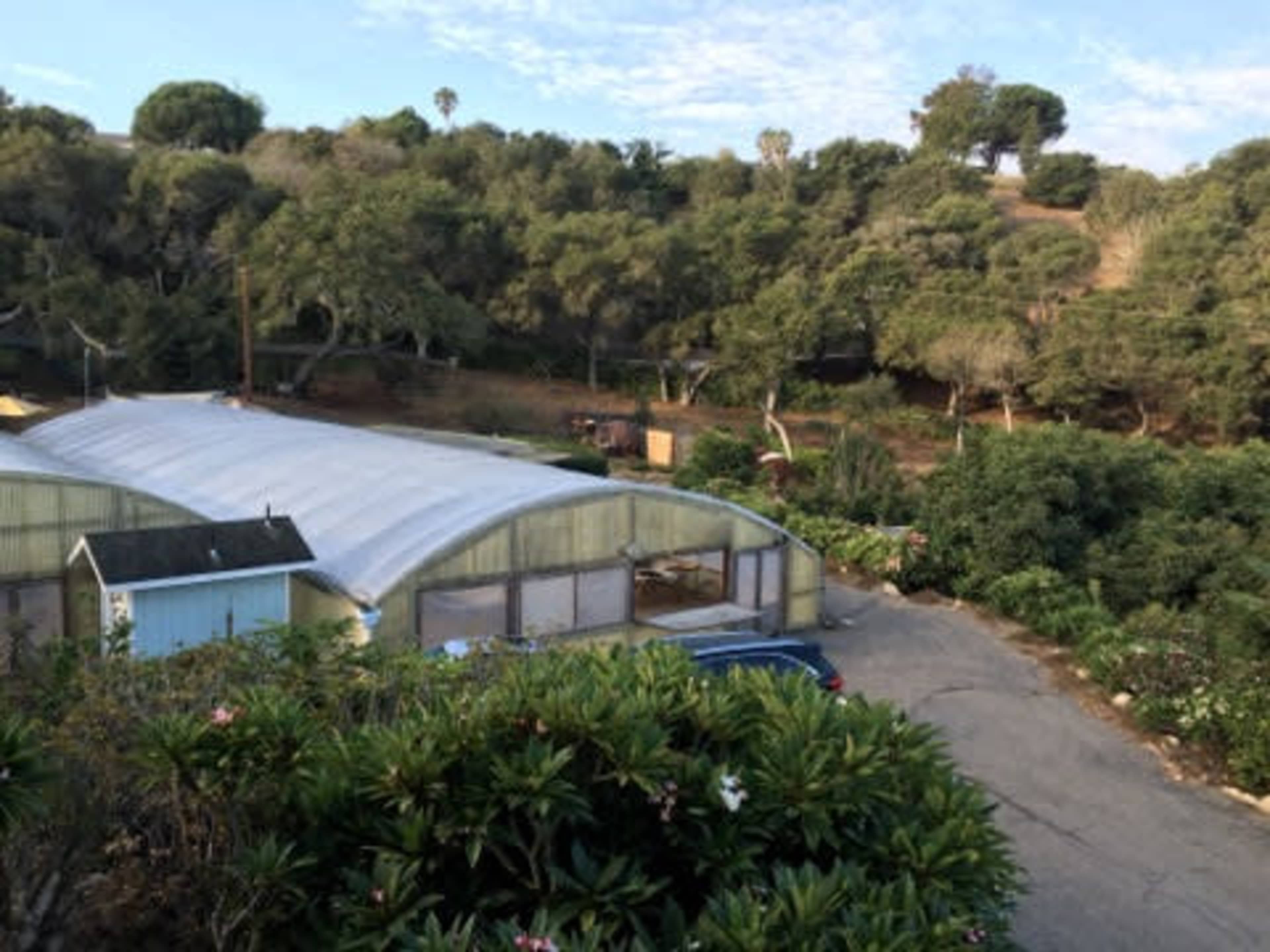 A large greenhouse structure surrounded by trees and a gravel driveway.