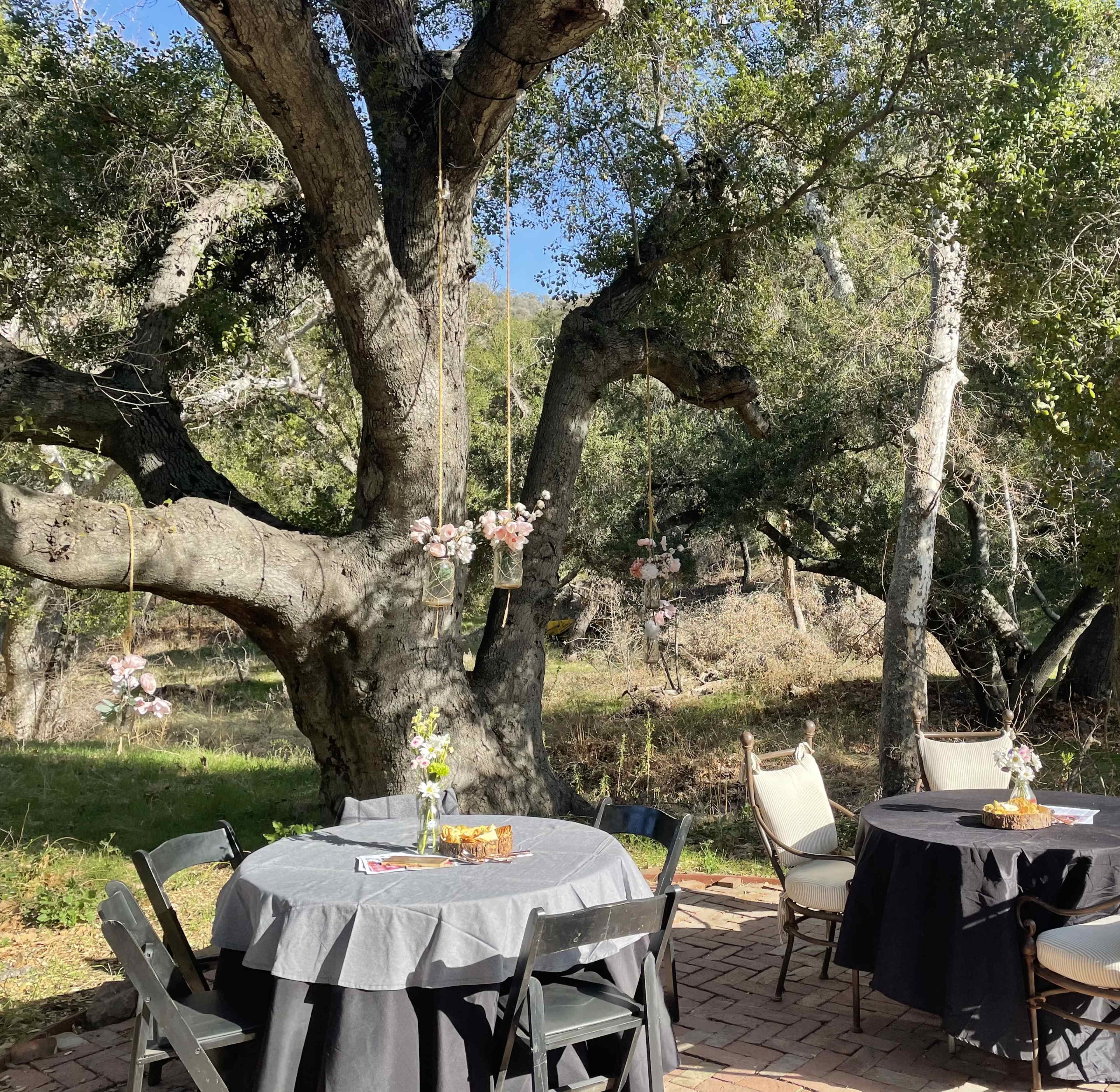 A spacious outdoor setting features round tables with gray tablecloths under a large tree, adorned with floral arrangements hanging from the branches.
