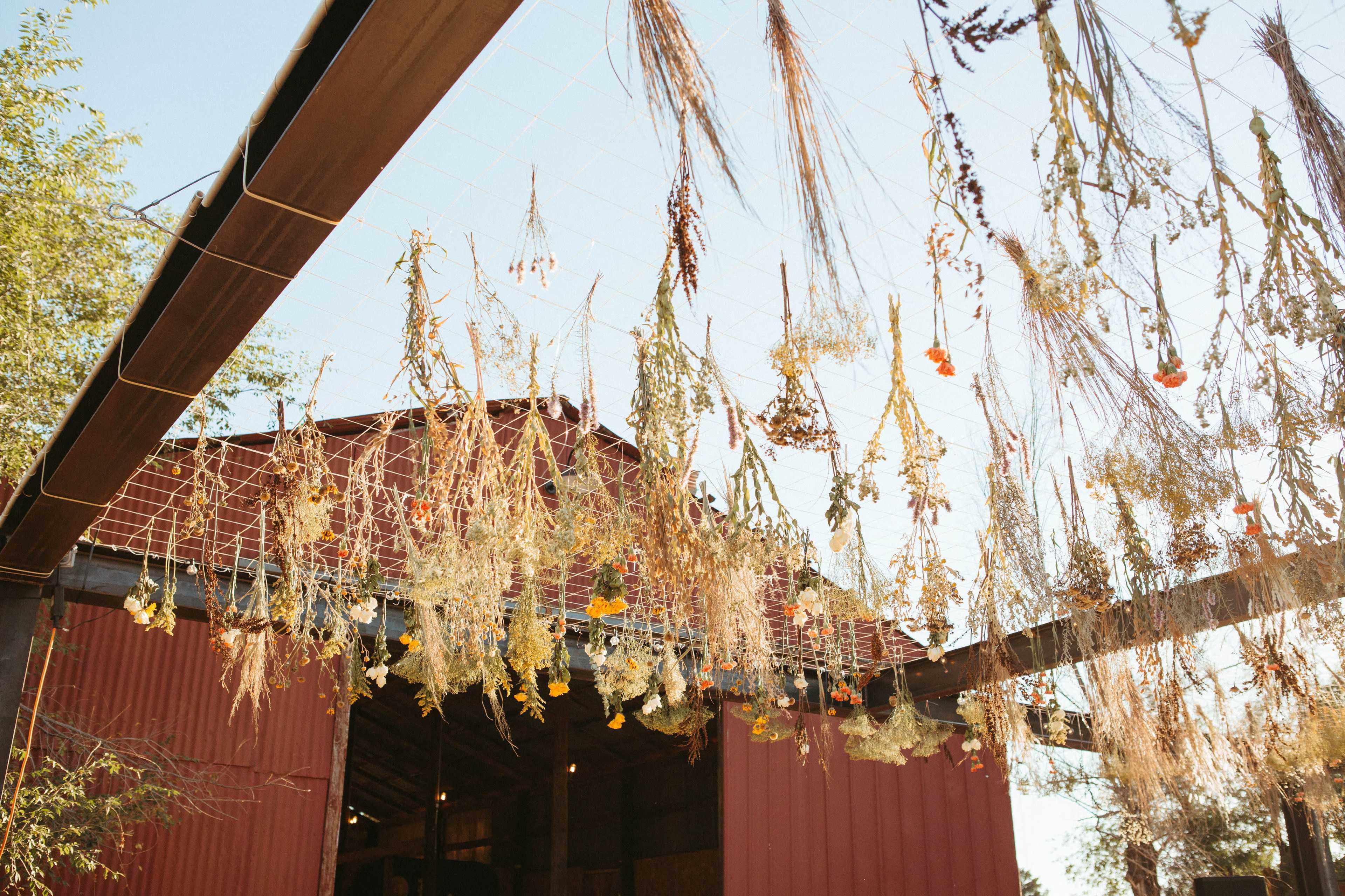 Dried flowers and herbs hang from strings overhead in front of a rustic red barn.
