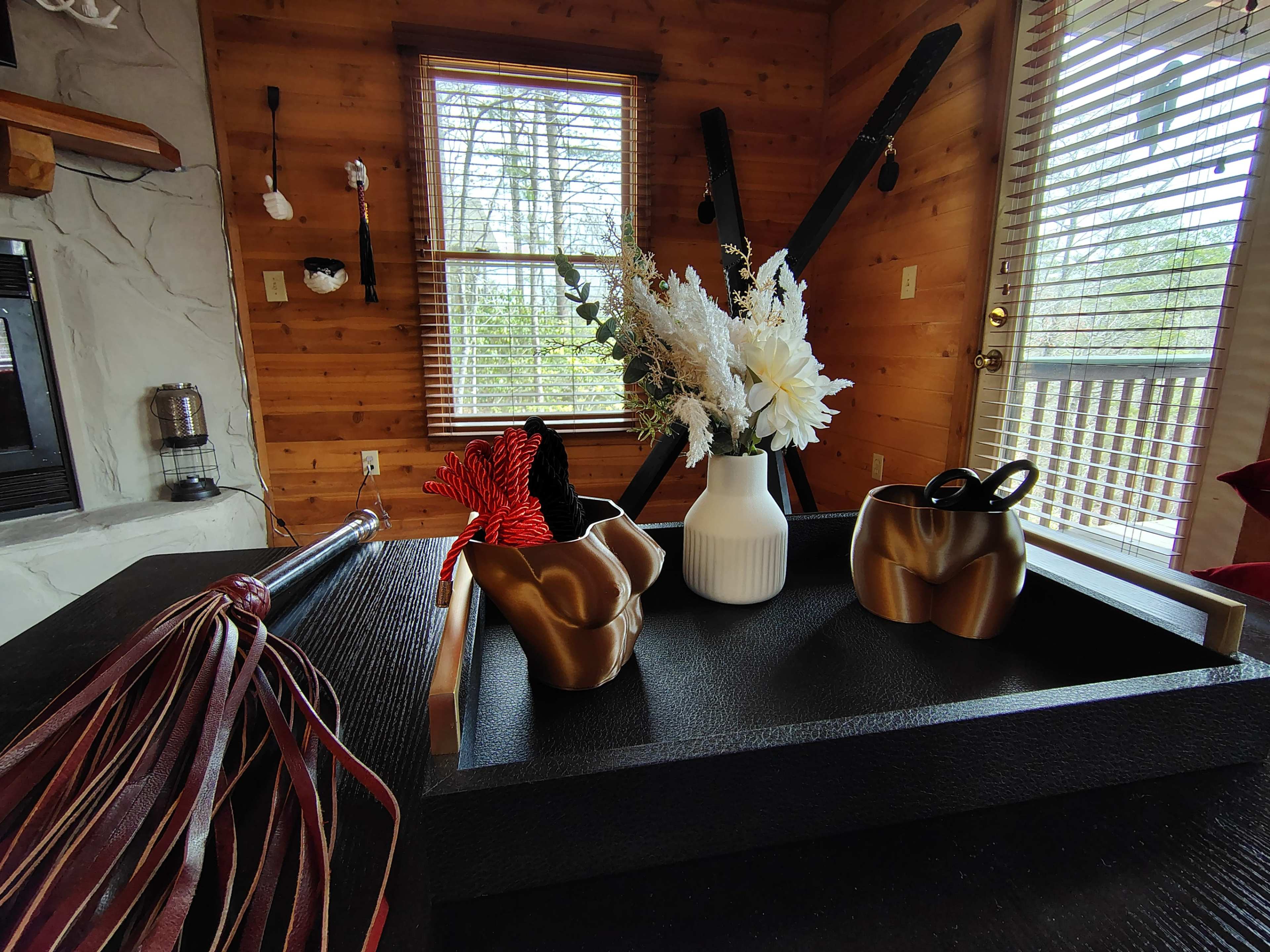 Bdsm themed cabin located near downtown Blue Ridge Image in , Blue Ridge, GA