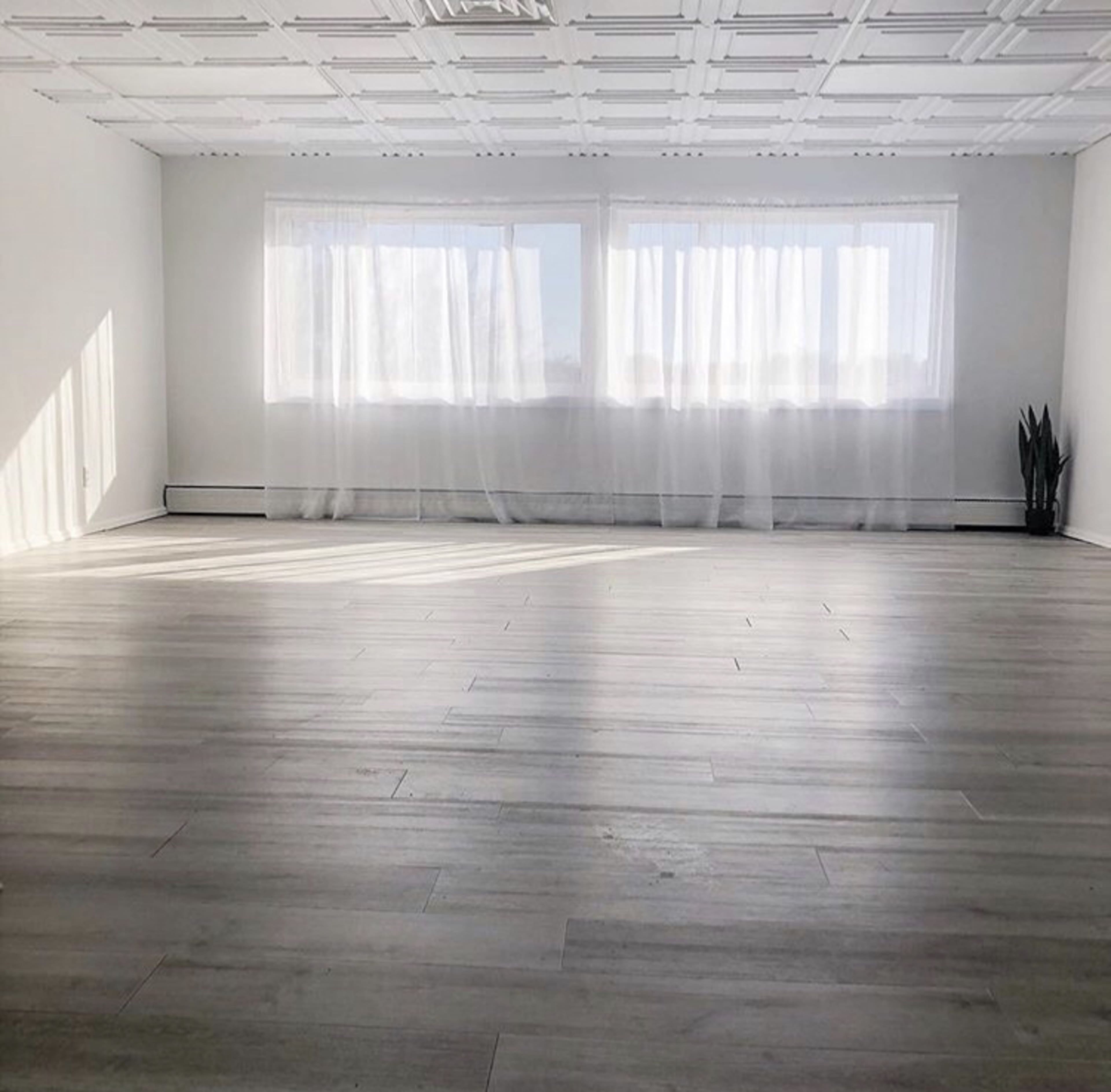 A bright, empty room with wooden floors, large windows covered by sheer curtains, and a single plant in the corner.