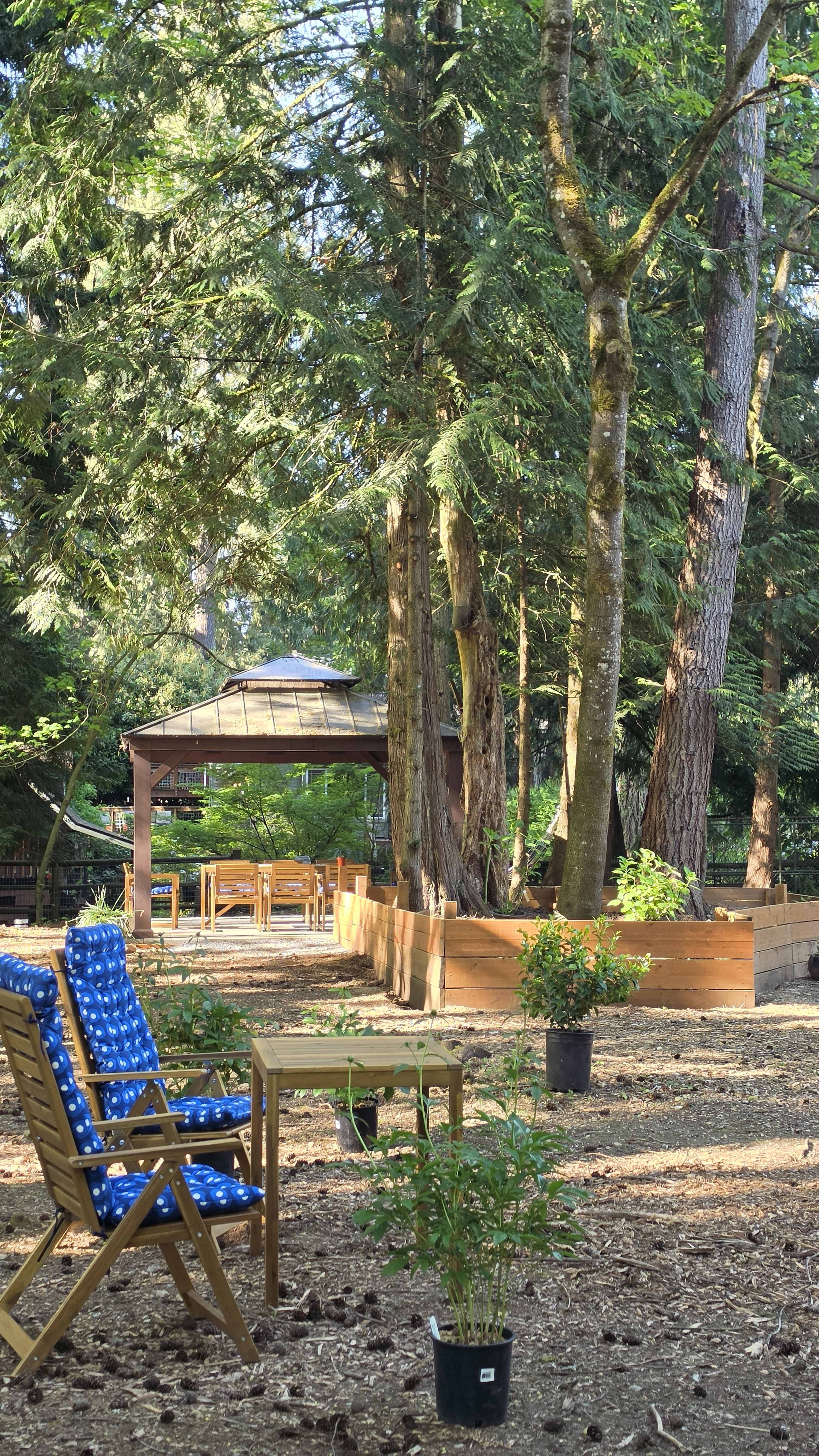 A wooden table and chairs are positioned near a garden area surrounded by tall trees, with a gazebo visible in the background.