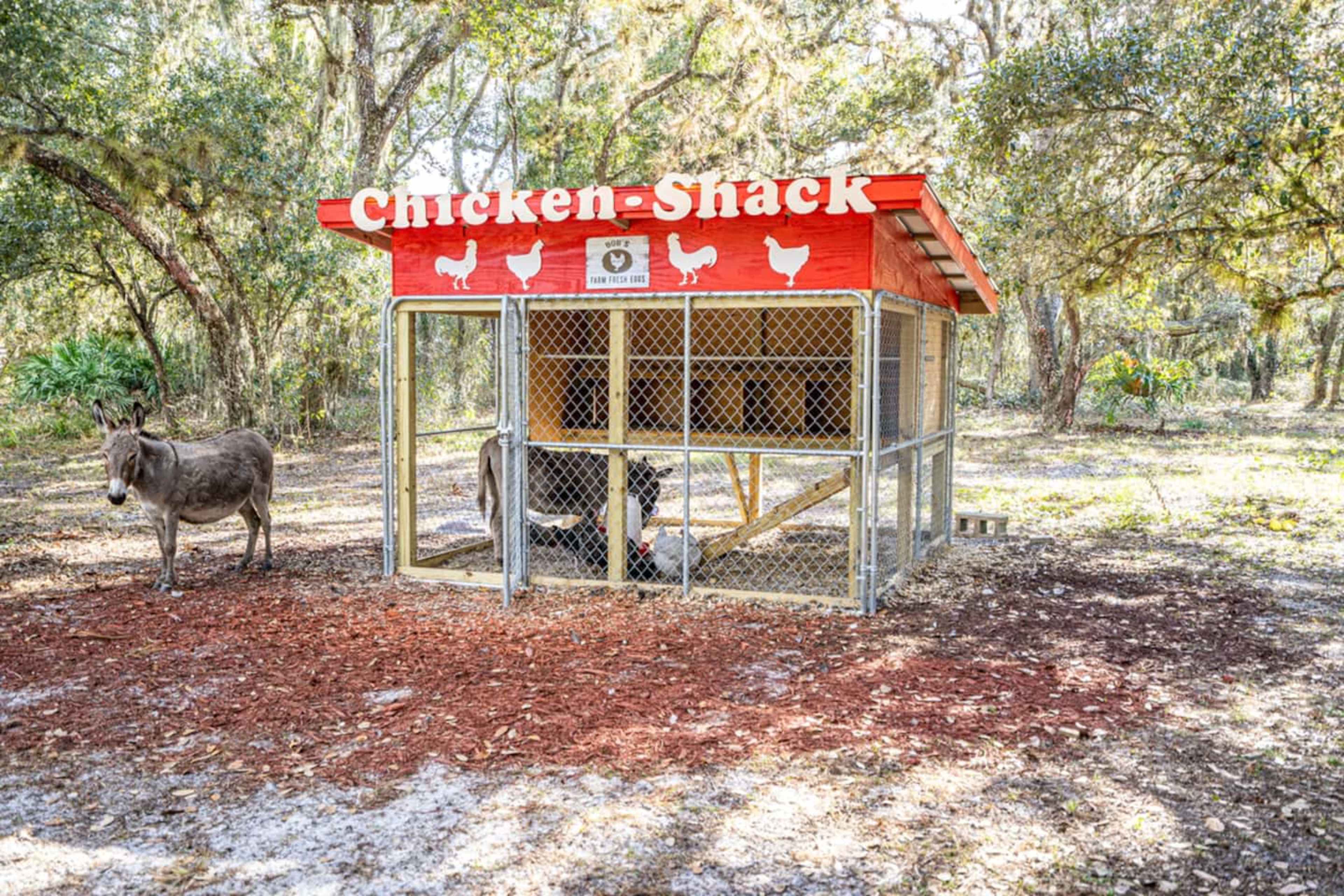 A small chicken coop named "Chicken Shack" is surrounded by trees, with two donkeys grazing nearby.
