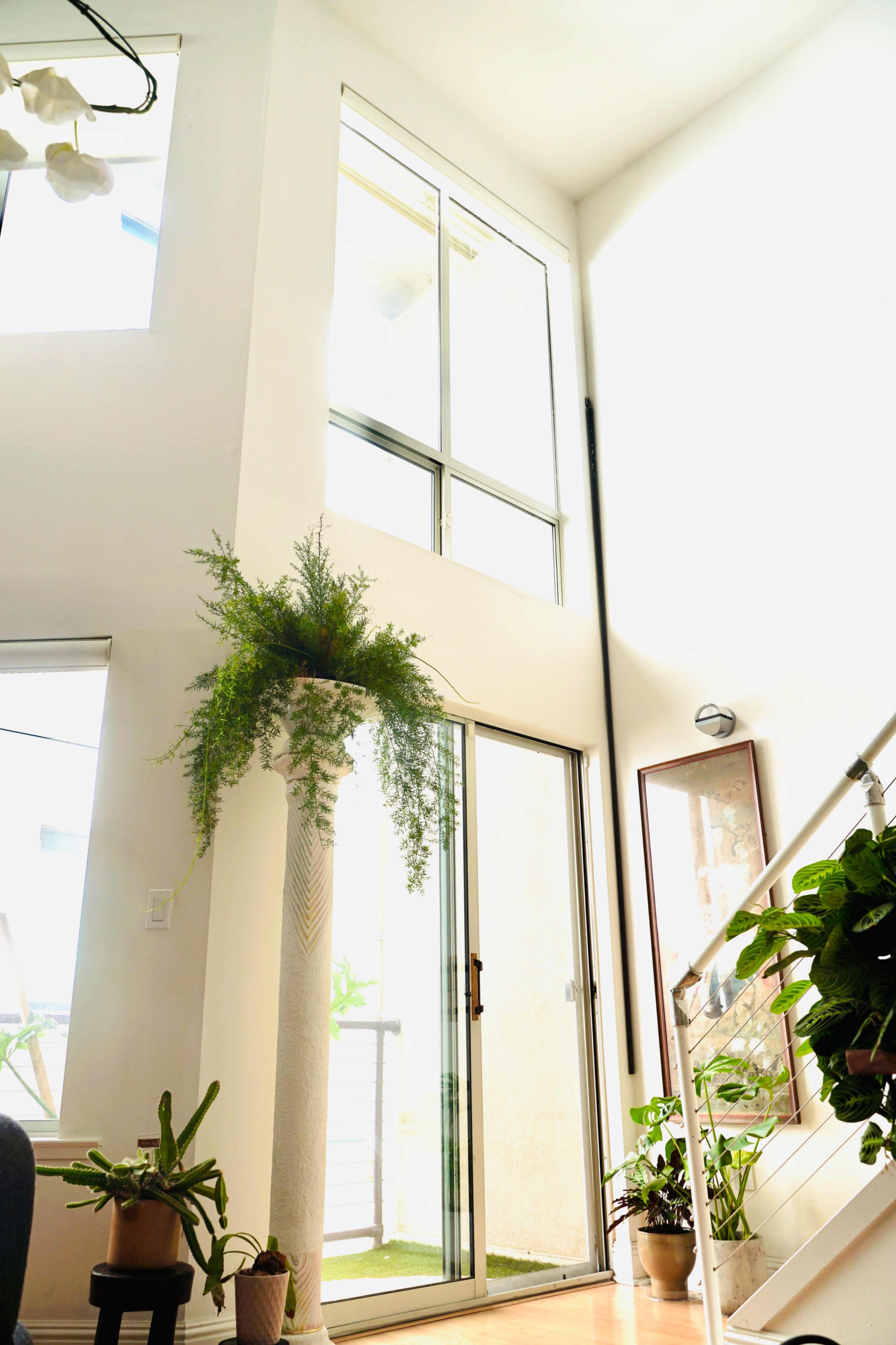 Artistic Work/ life loft near the cal train station Image in SoMa, San Francisco, CA