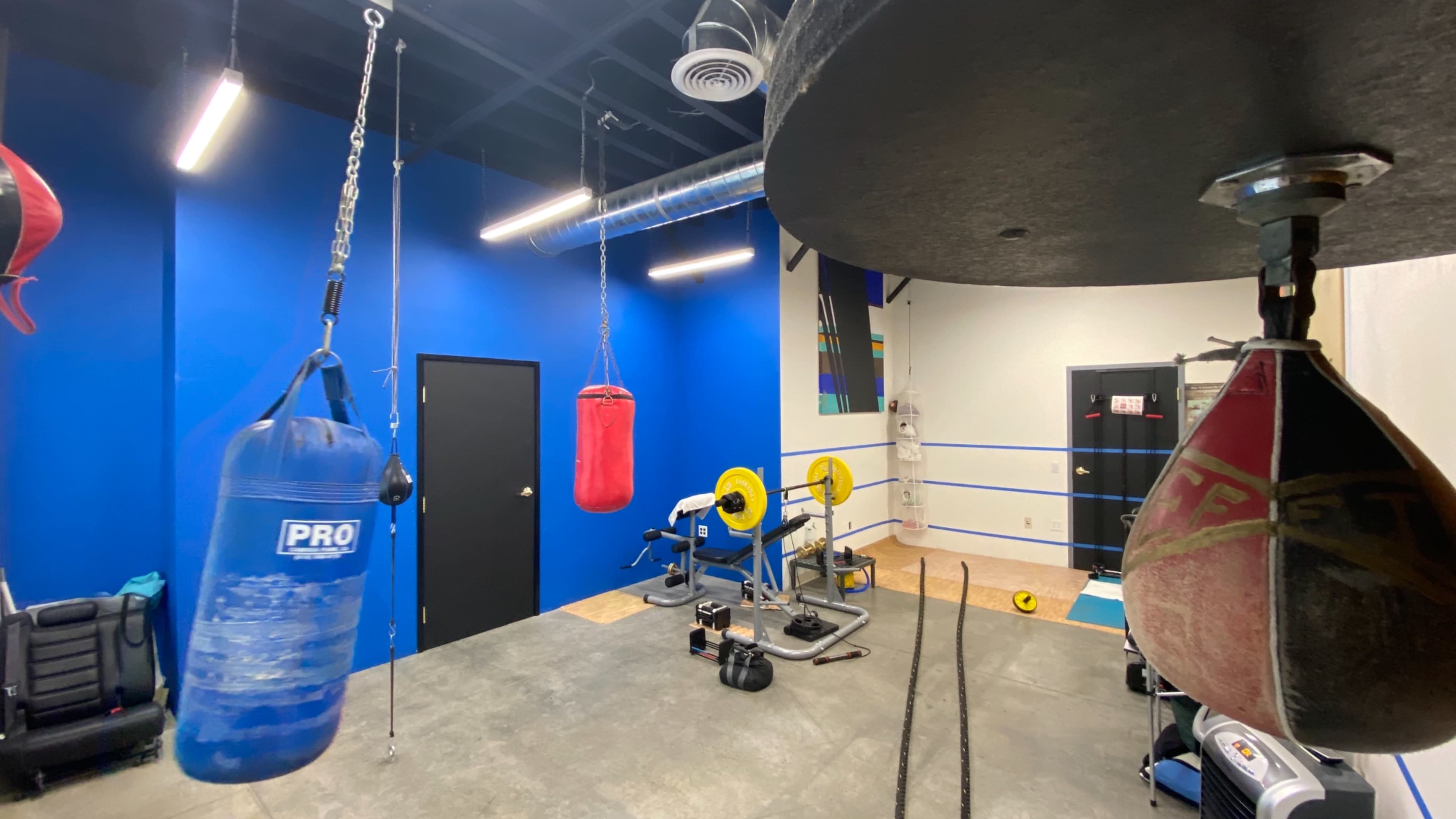 A gym space with various boxing bags hanging from the ceiling, weightlifting equipment, and a blue wall.