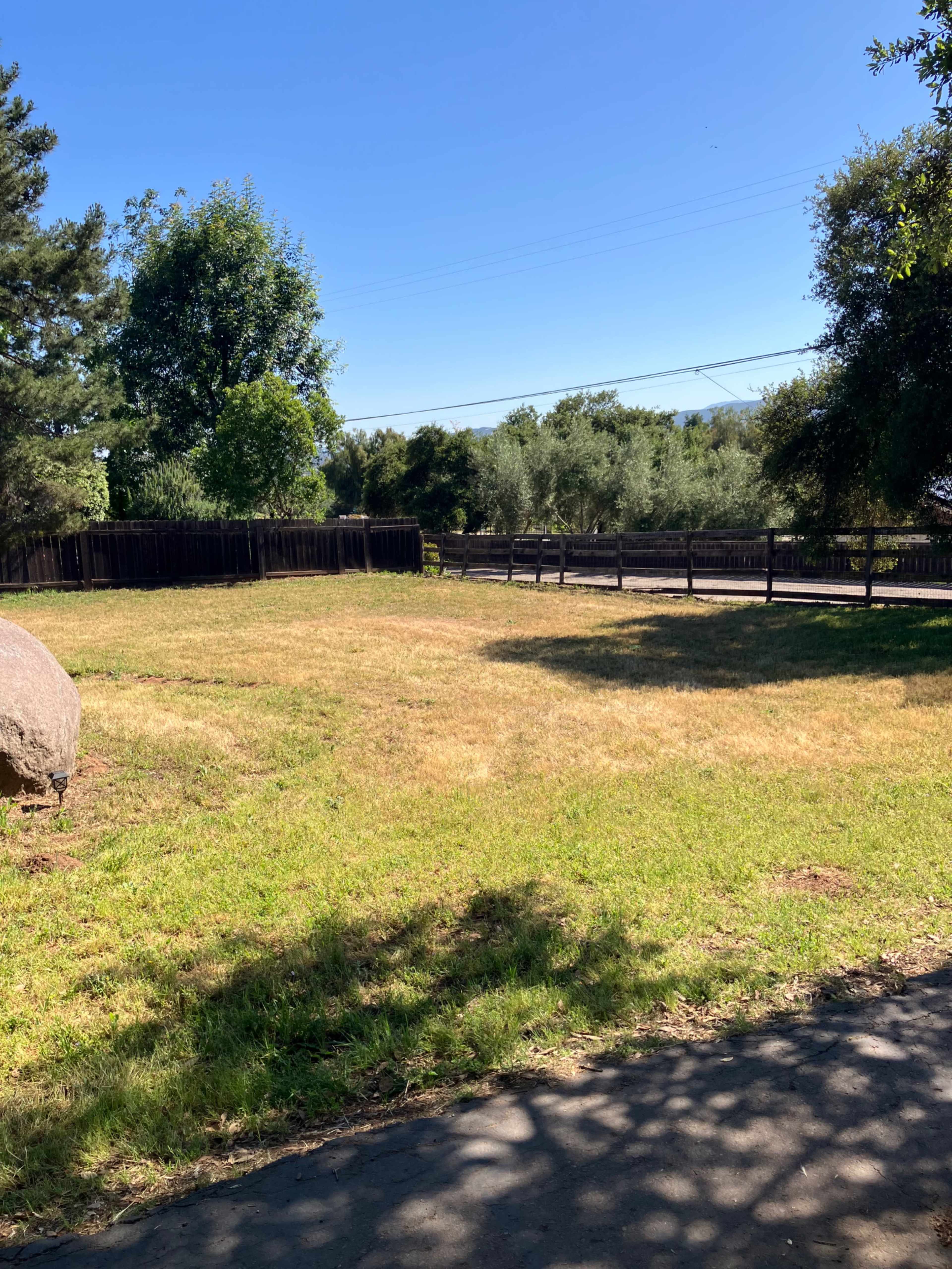 The image shows a grassy area with brown patches, bordered by a wooden fence and surrounded by trees under a clear blue sky.