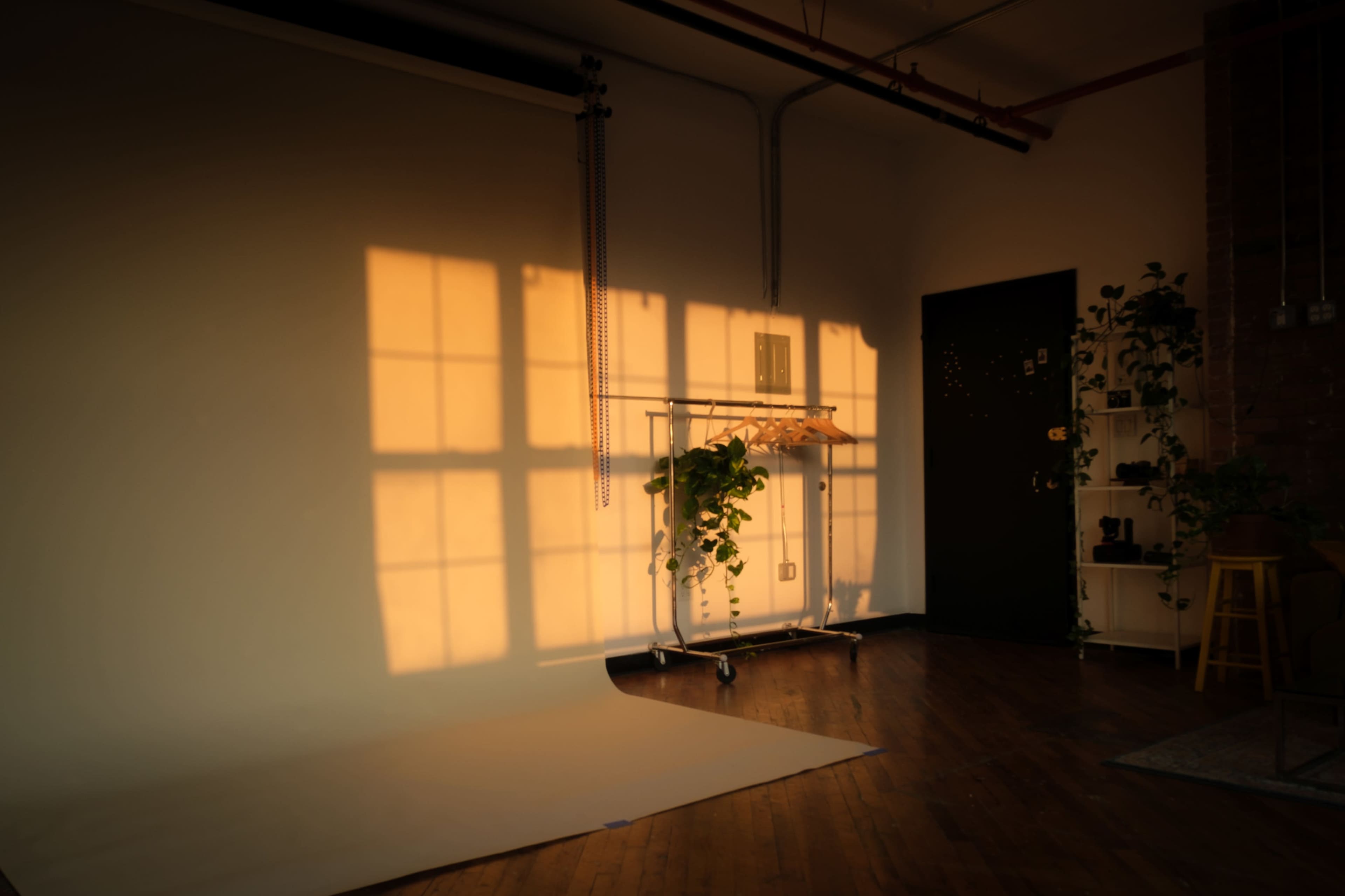 A studio interior features a clothing rack with a plant, cast in warm shadows from large windows, alongside a wall adorned with greenery.