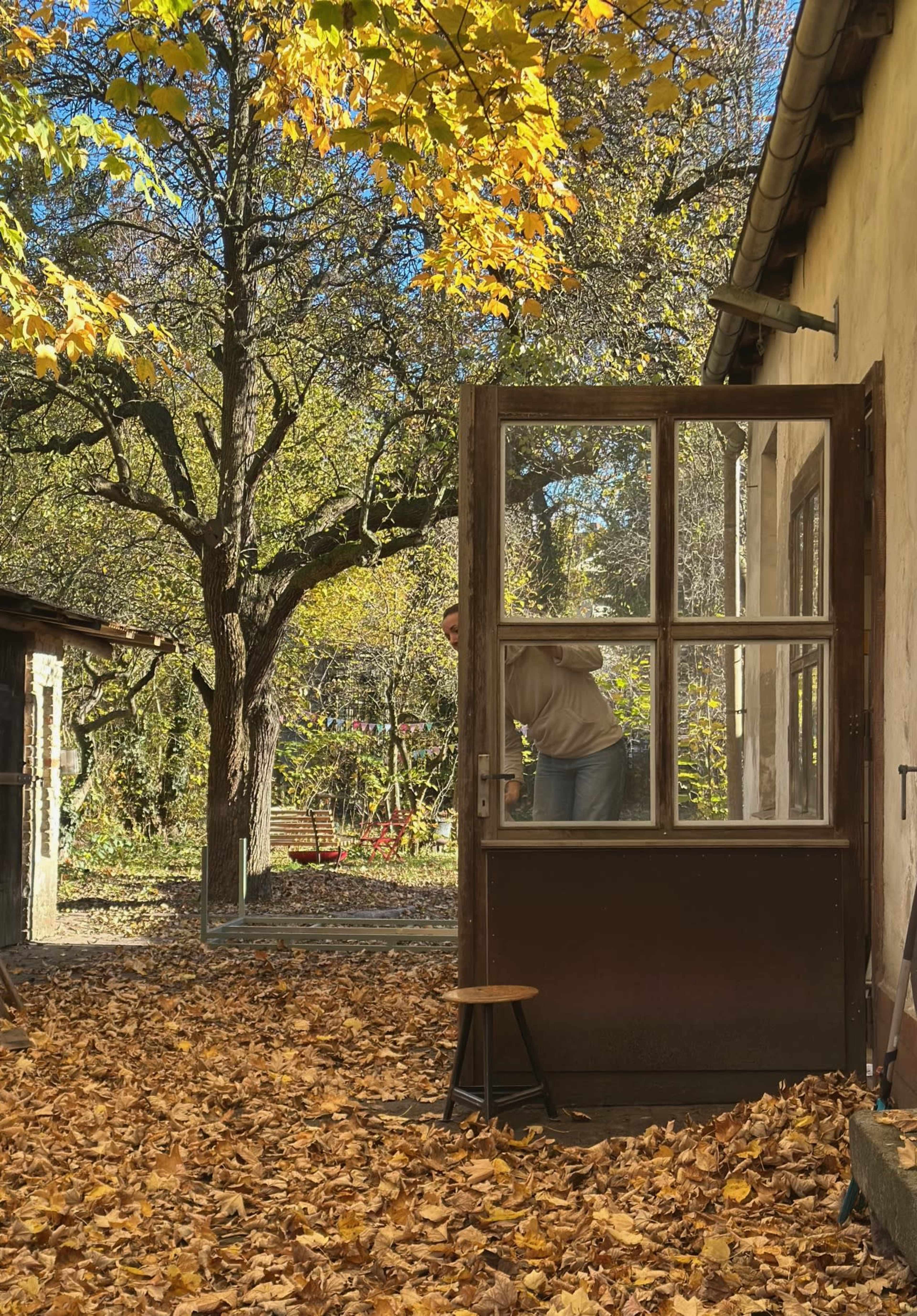 A person peers through an open wooden door surrounded by fallen autumn leaves and a tree with yellow foliage.