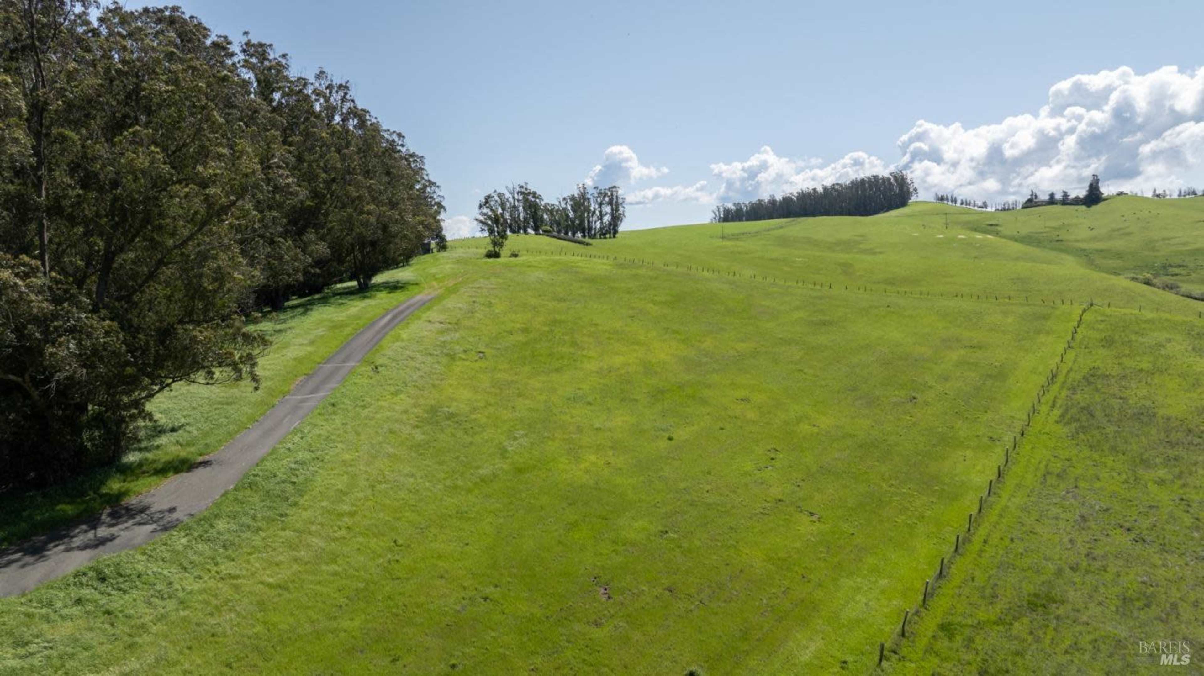 The image shows a wide, green hillside with a road winding through trees on the left side and a cloudy sky above.