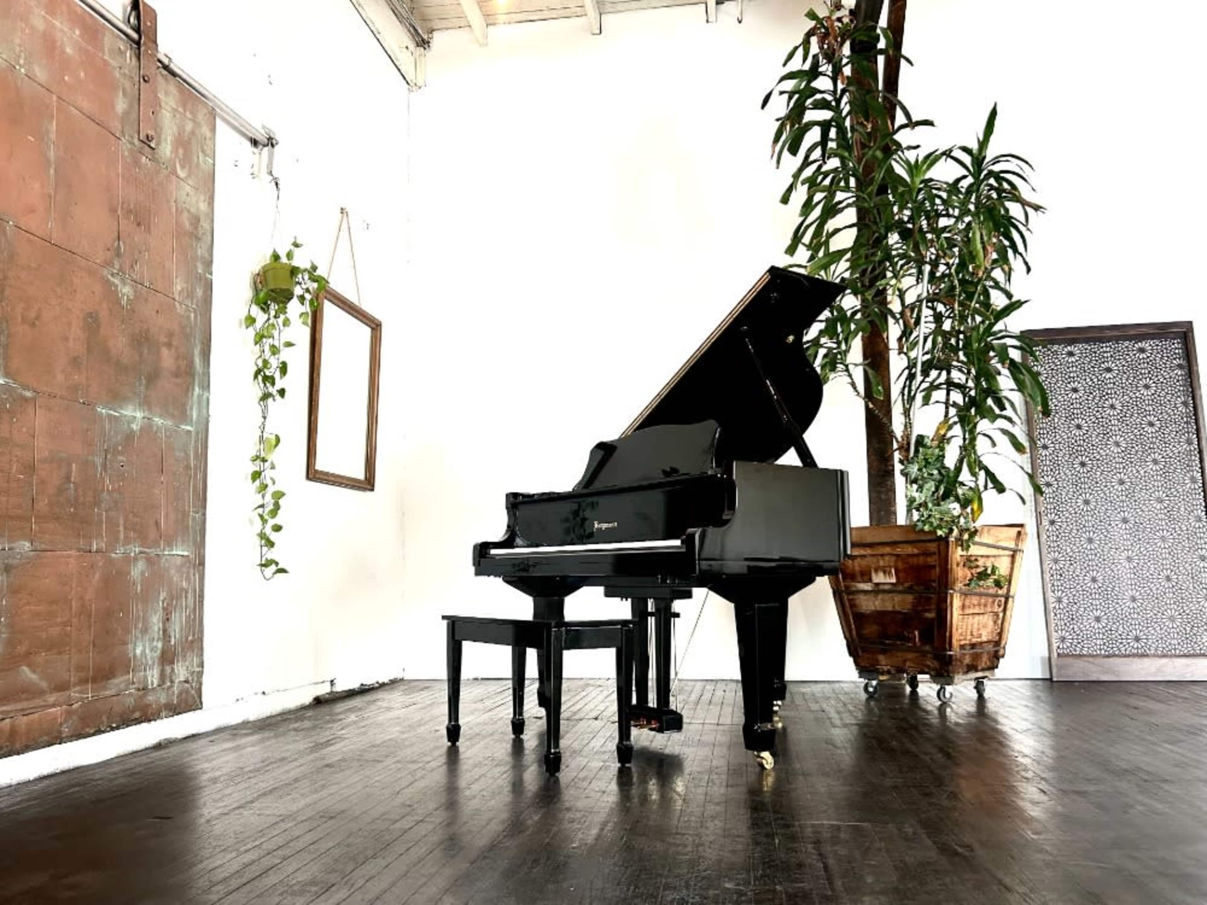 Baby Grand Piano 