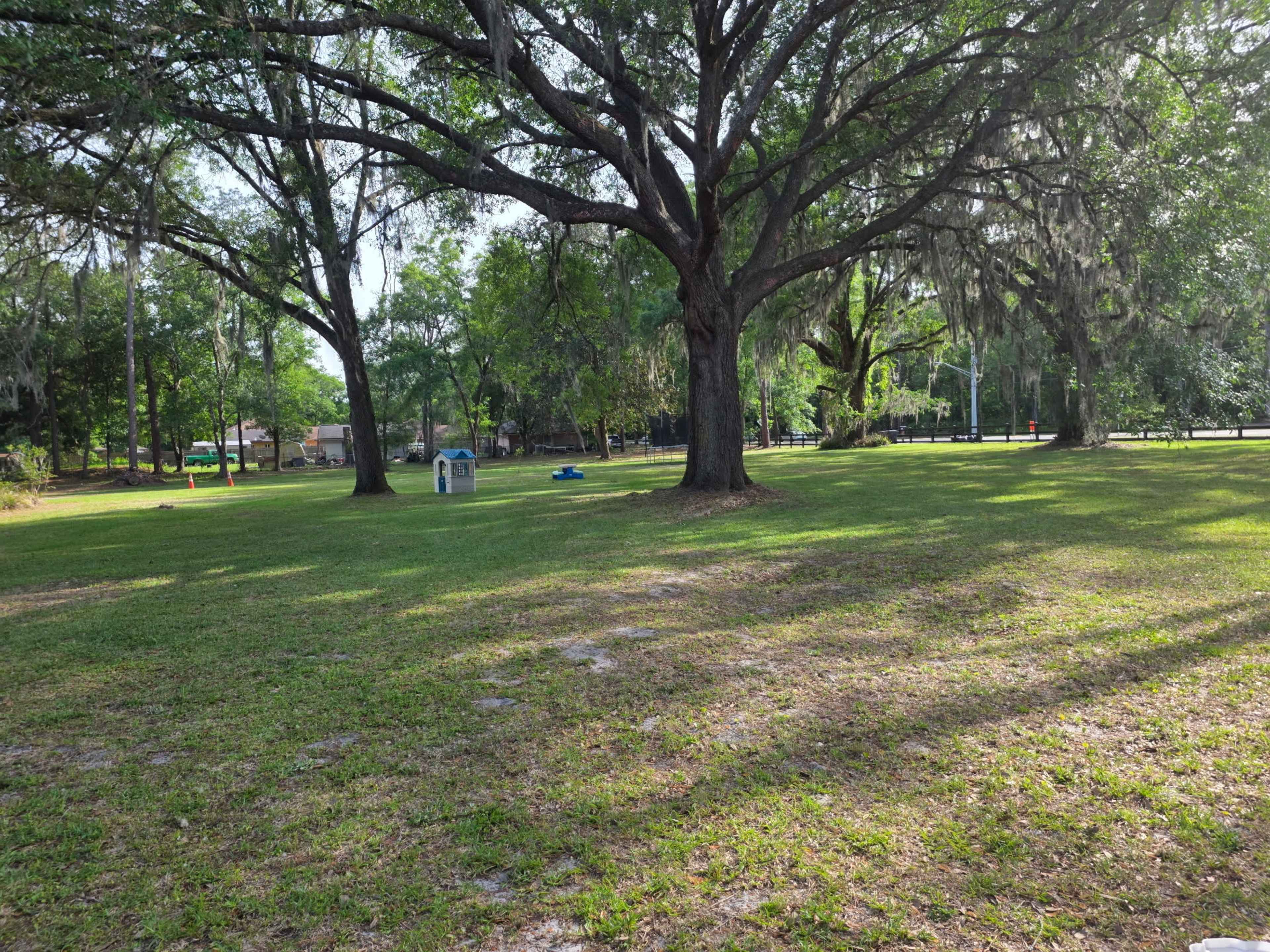 The image shows a spacious grassy area with a large tree and a small playground structure in the background.