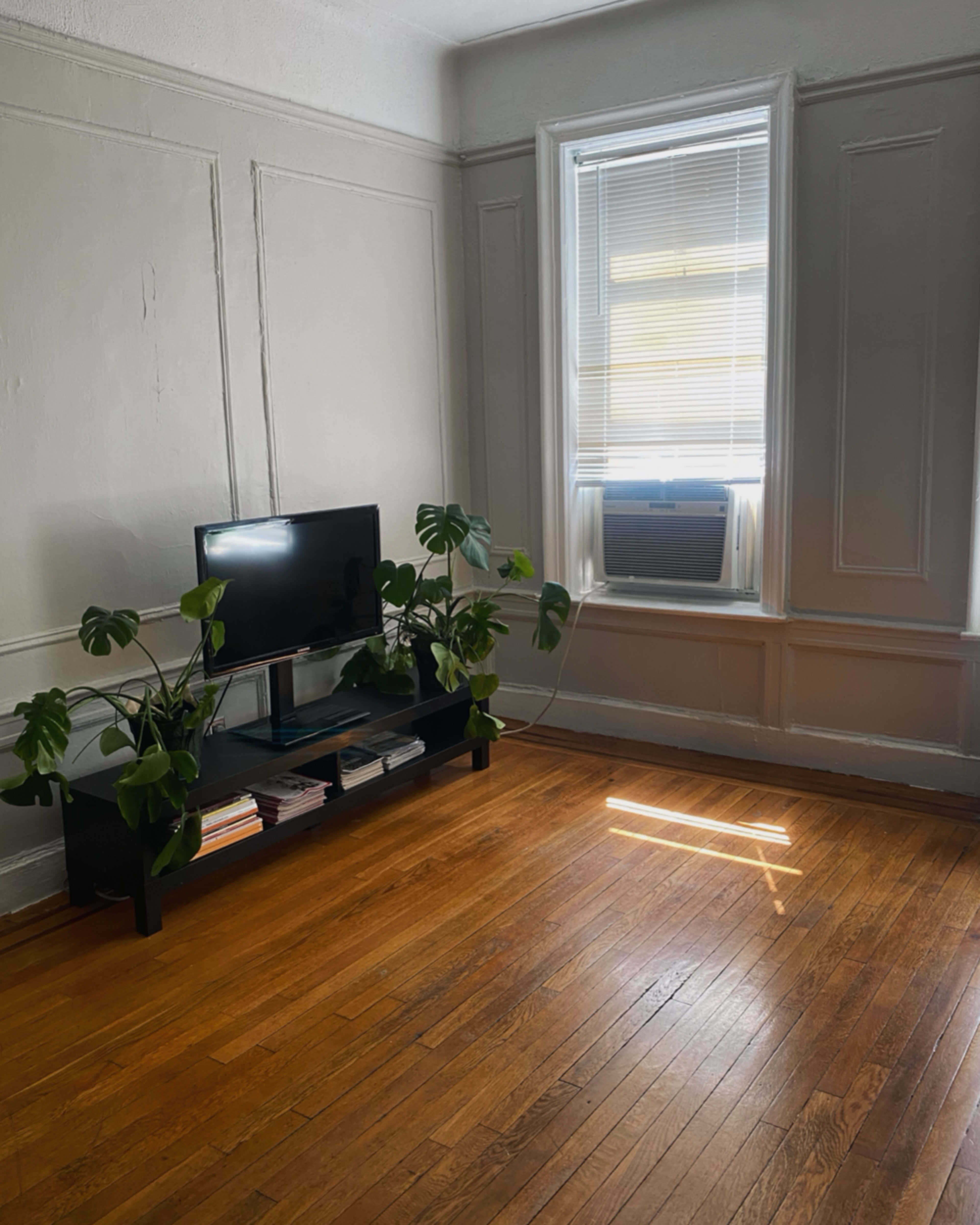 A living room features a small television on a black stand with plants, and a window with an air conditioning unit and blinds.