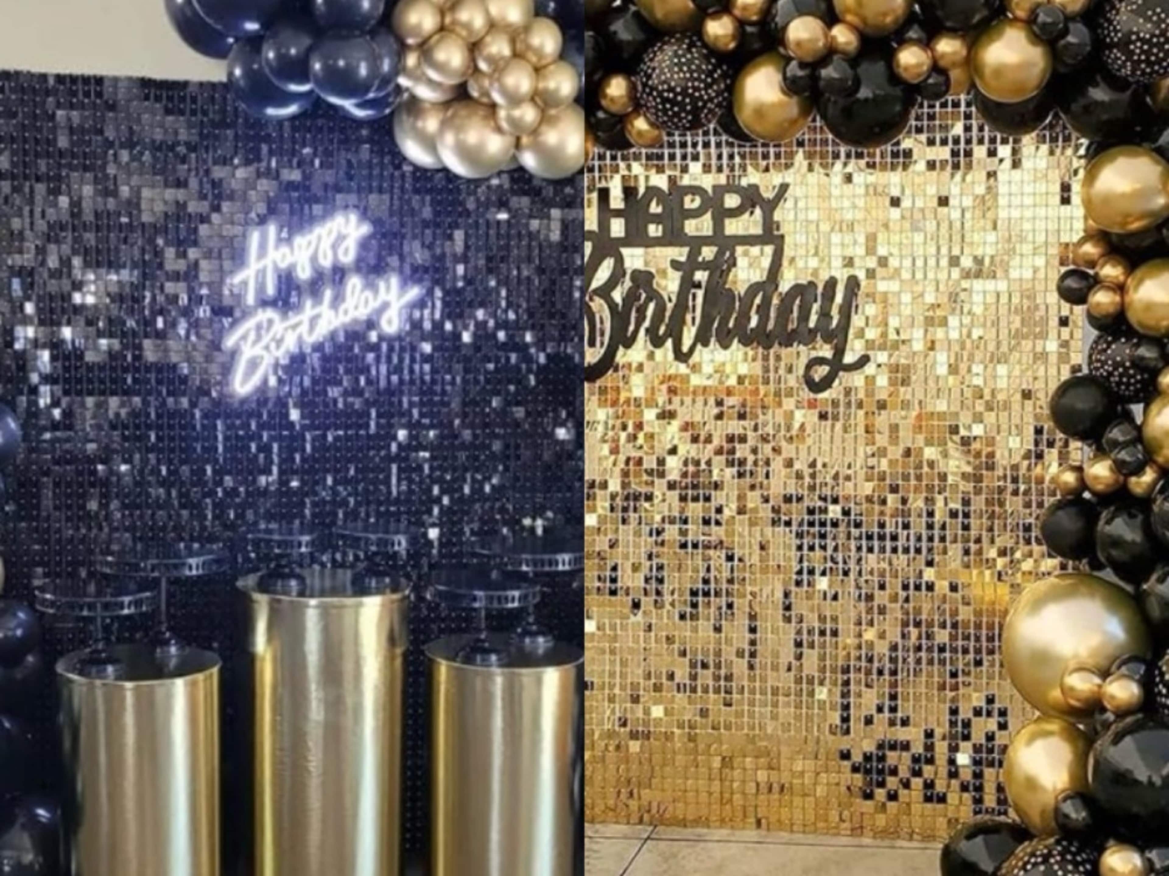 Back Drop Stand + Shimer Cover