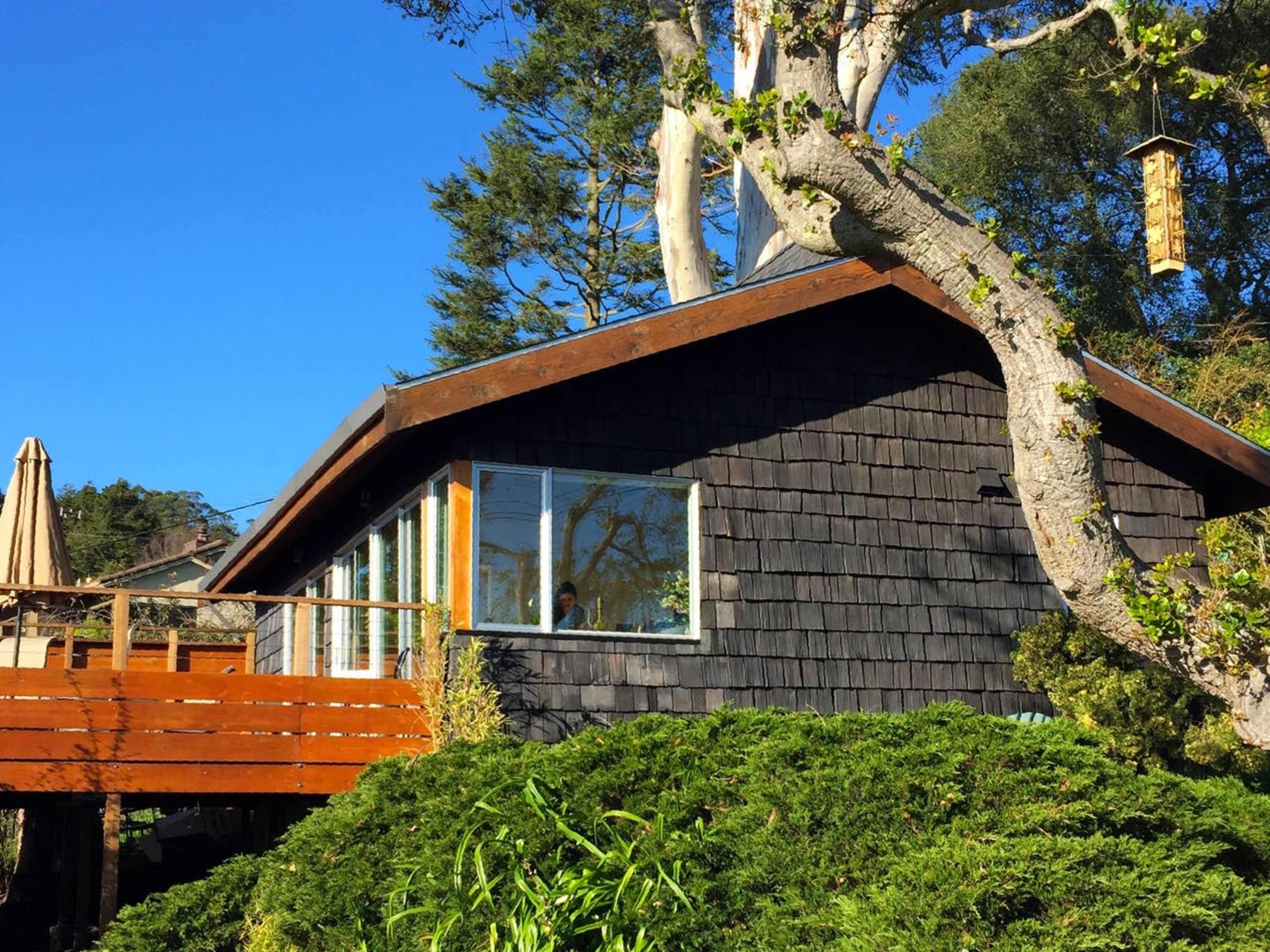 Exquisite Home w/ Ocean View for Family Gatherings Image in El Cerrito, El Cerrito, CA