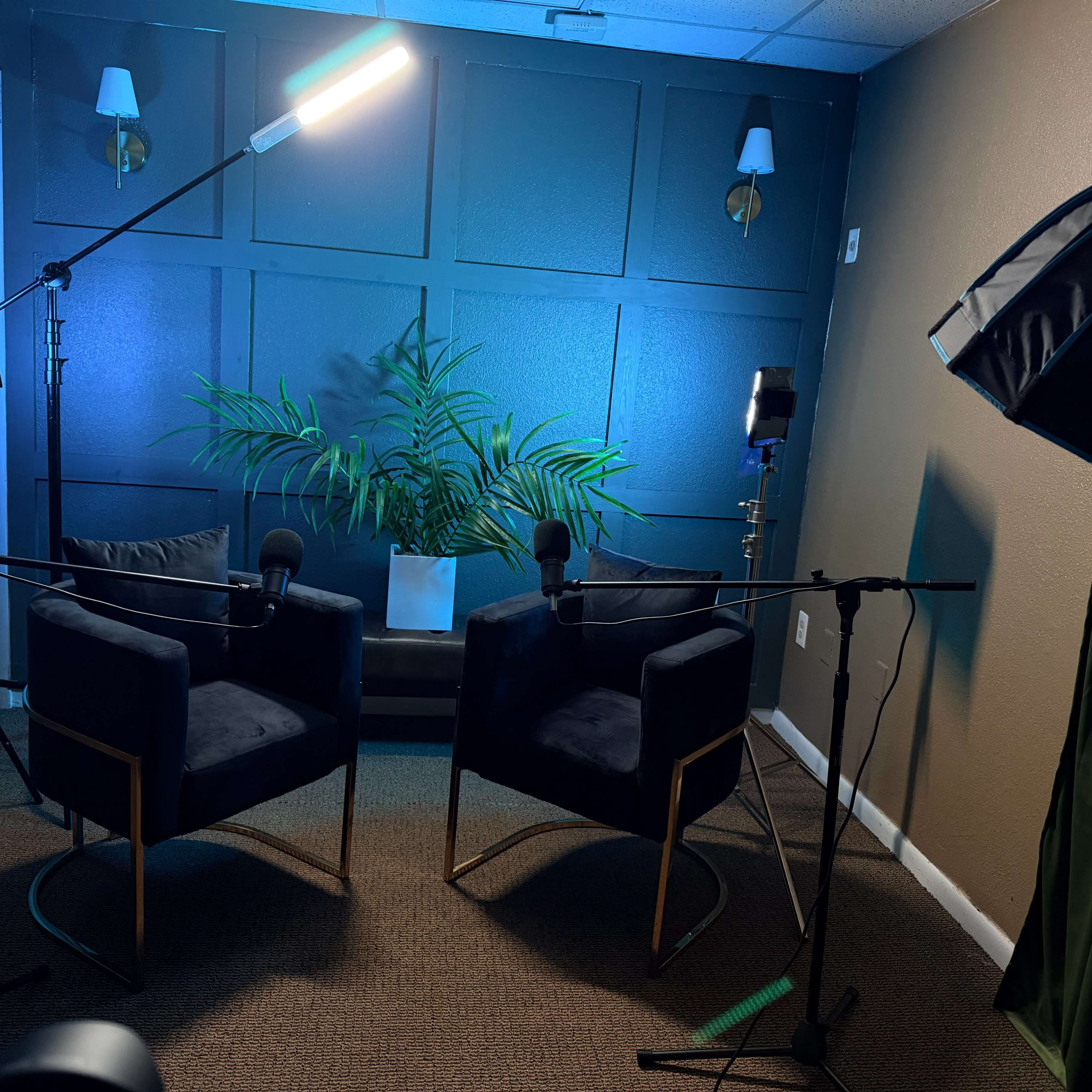 The image shows a podcast or interview setup featuring two black chairs with microphones, a potted plant in the background, and multiple lighting sources.