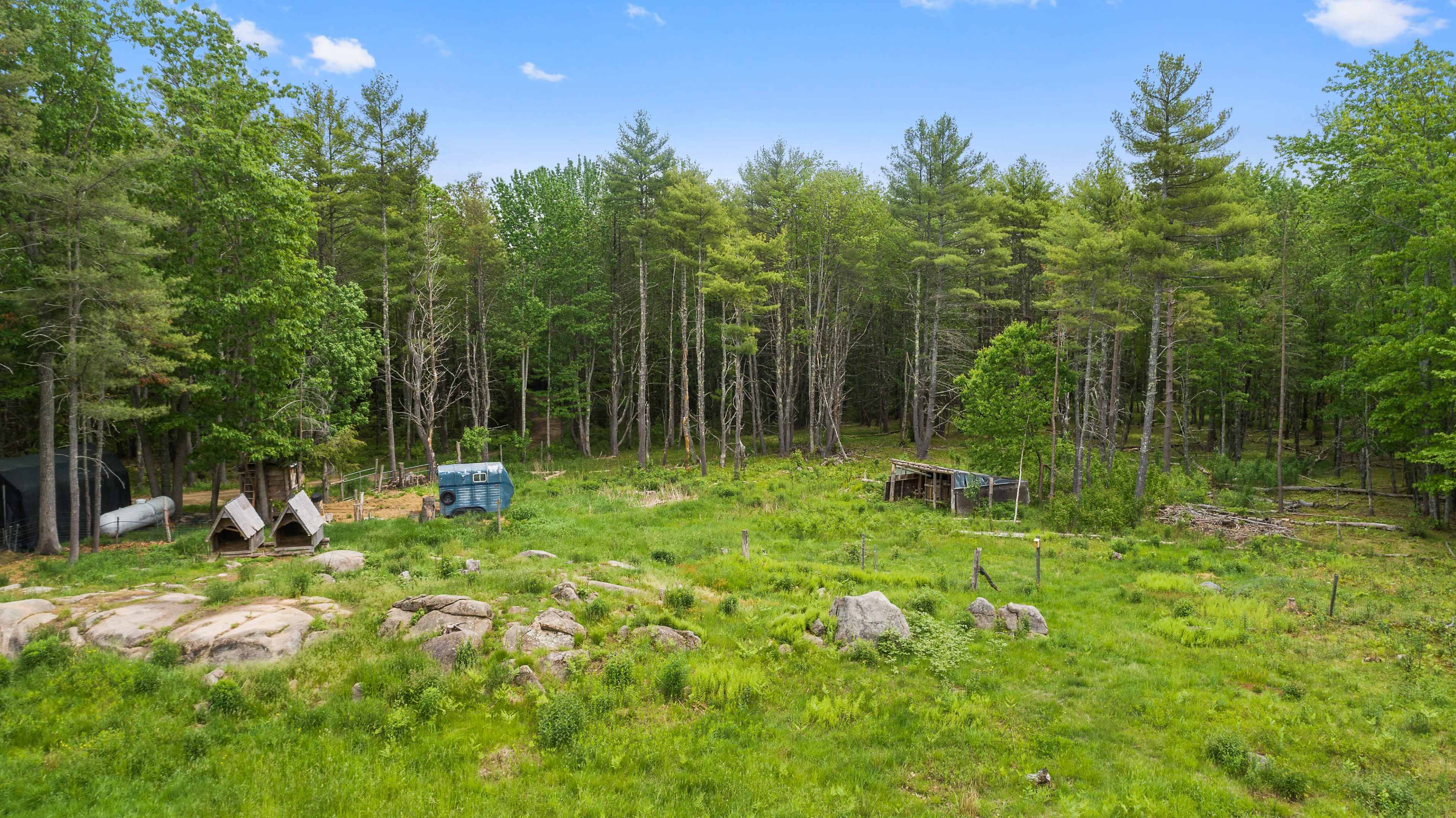 A clearing in a wooded area with several structures and large rocks scattered throughout the lush grass.