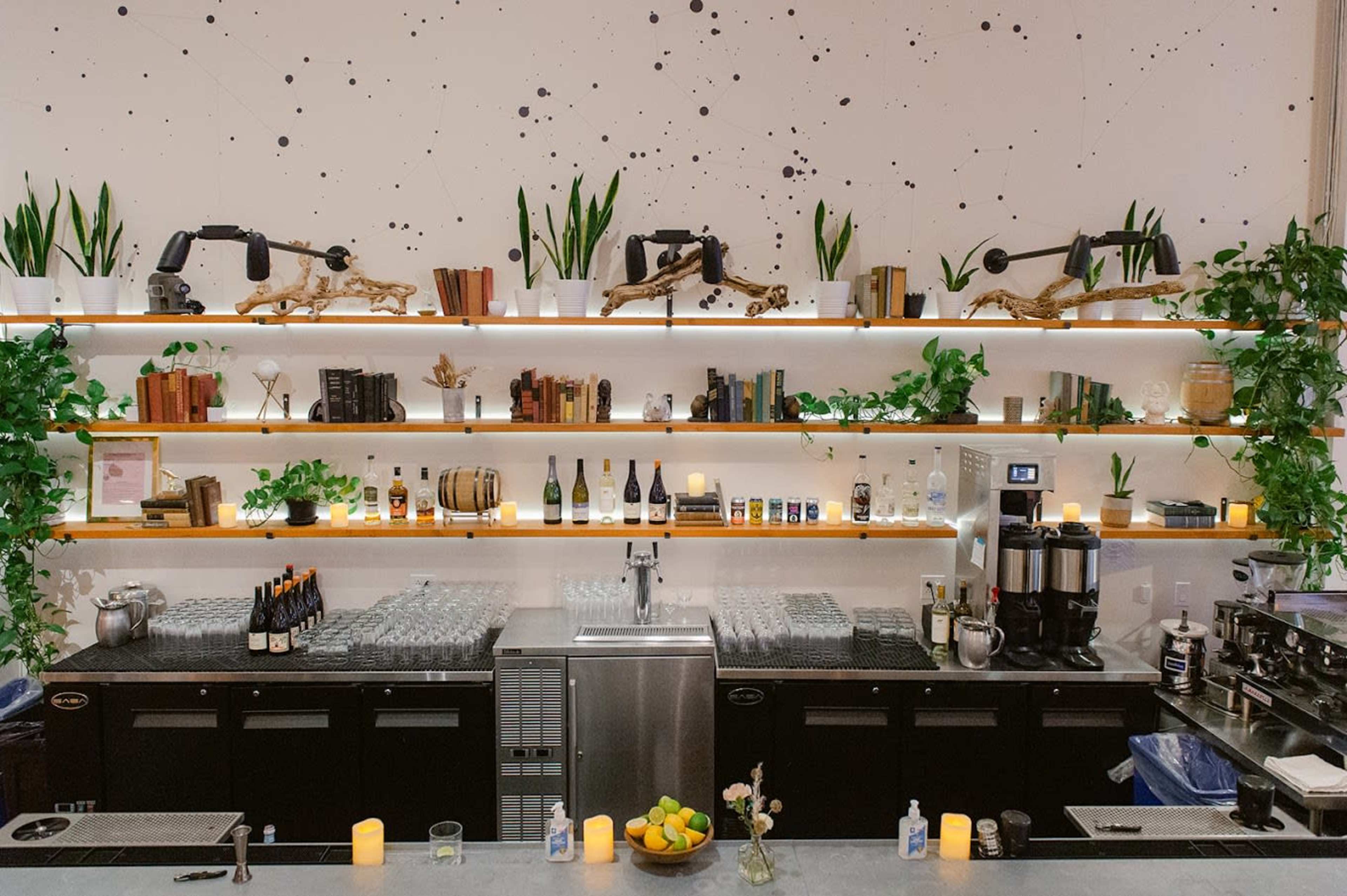 The image shows a modern bar counter with neatly arranged shelves displaying plants, books, and various bottles, illuminated by soft lighting.