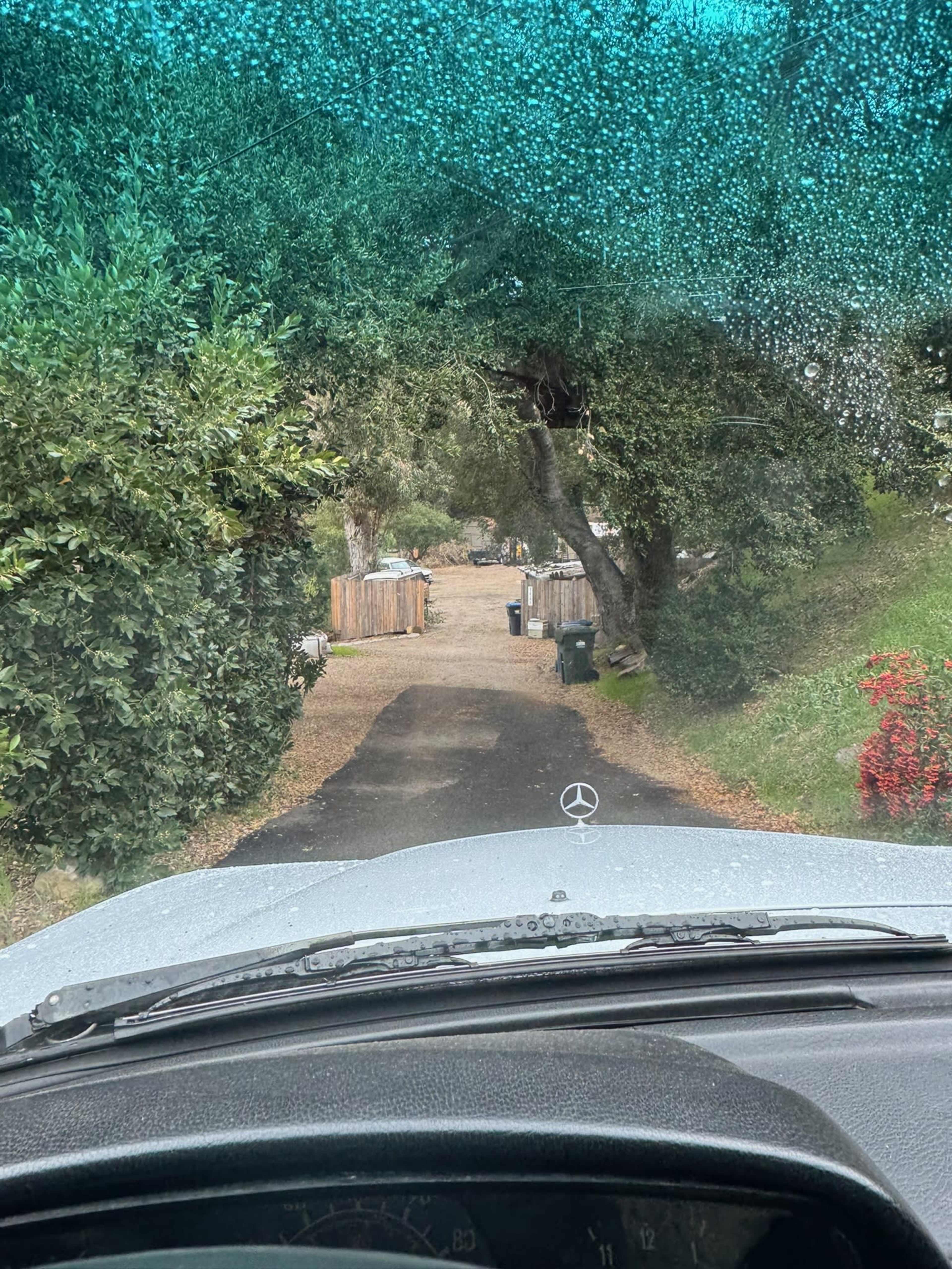 The view from a car displays a narrow gravel driveway lined with trees leading towards a residential area with visible garbage bins.